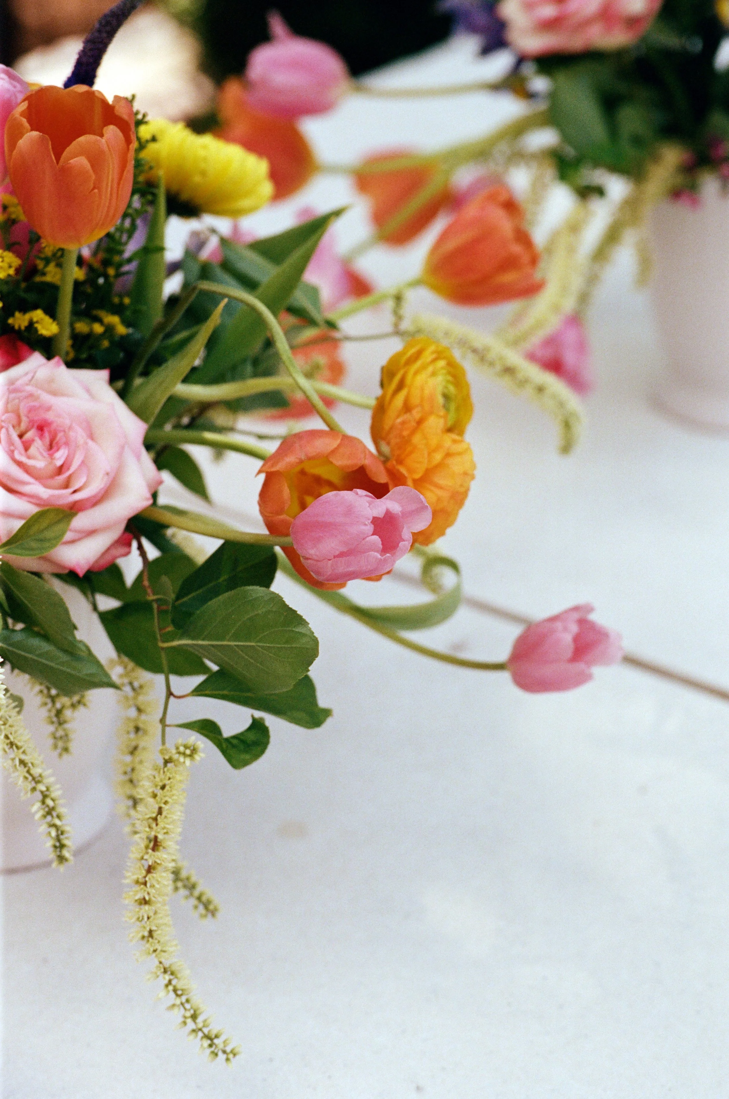 kodak_professional_portra_400_05_02_2025_000459060028.jpg