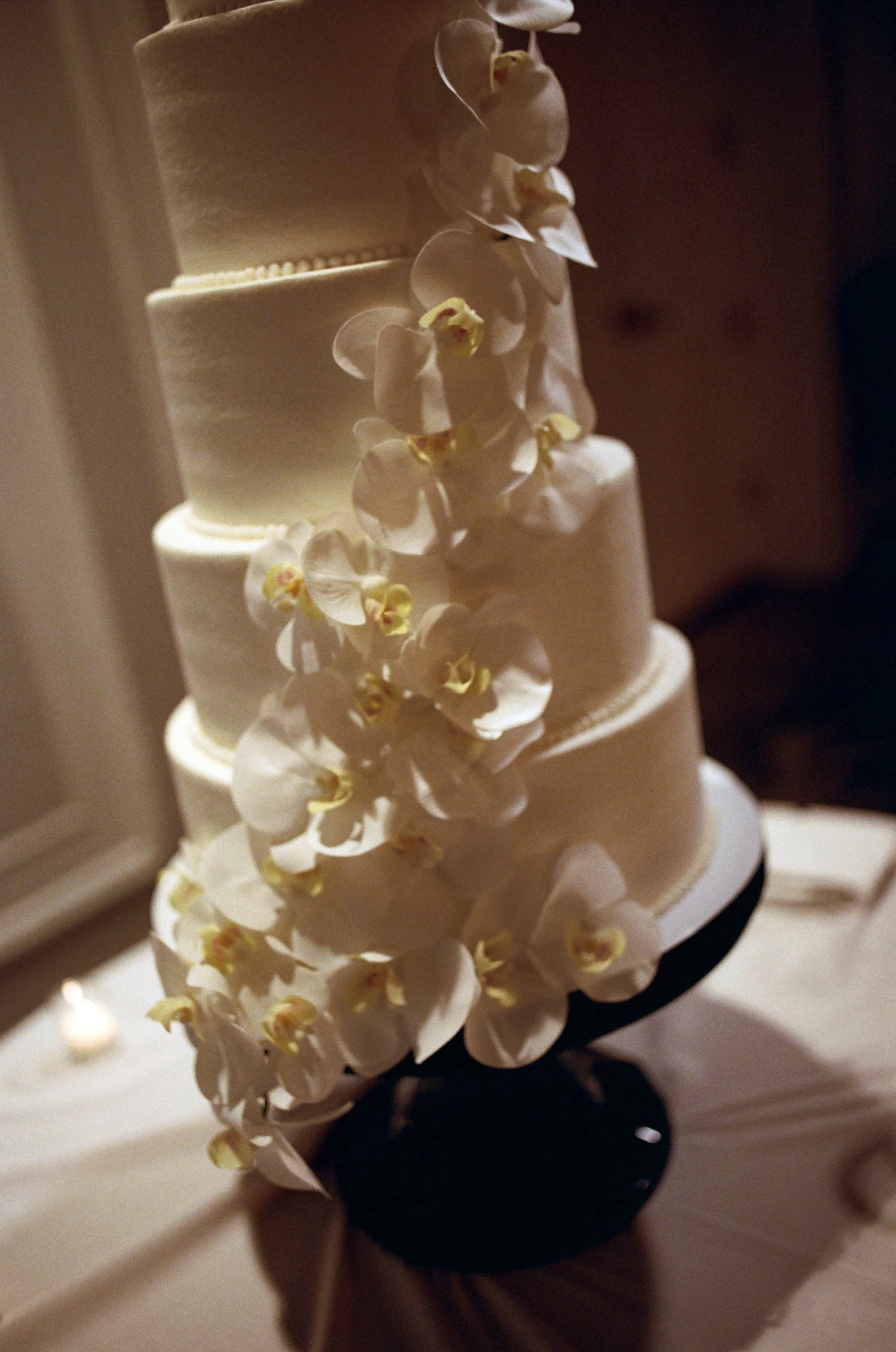 kodak_400_c_41_30393_93018_206541_000409440027.jpg