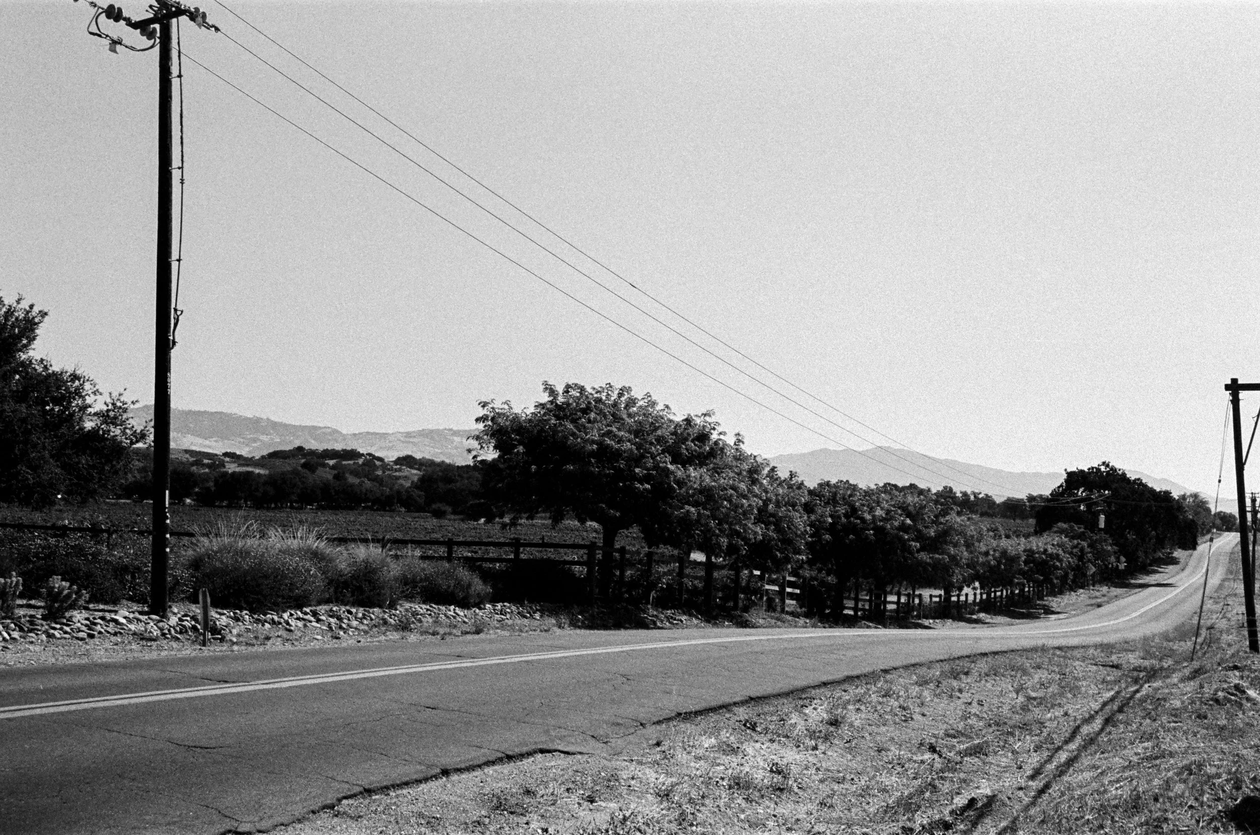some_400_bw_30393_103149_230842_002297760013.jpg