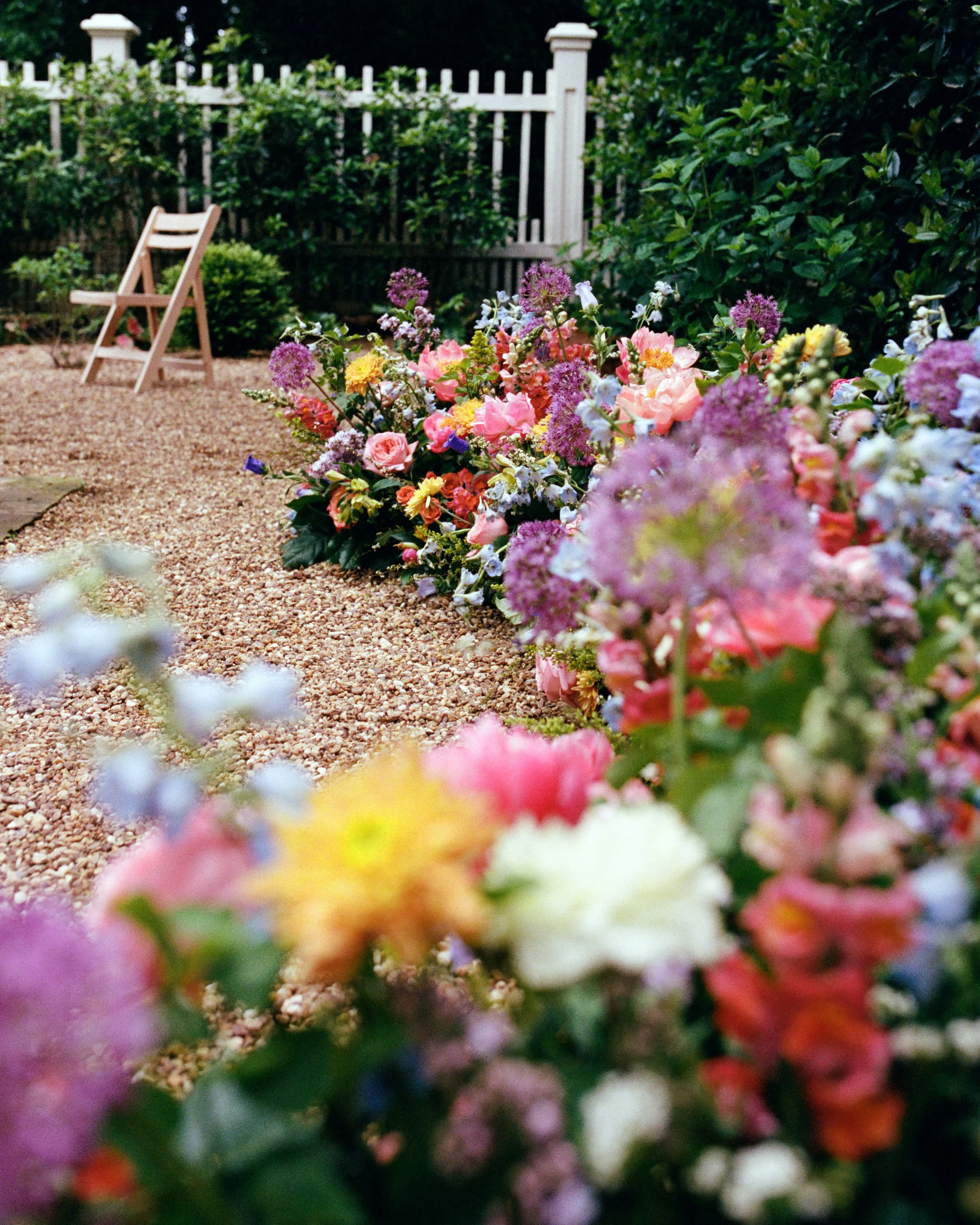 kodak_professional_portra_400_05_02_2025_000459070020.jpg