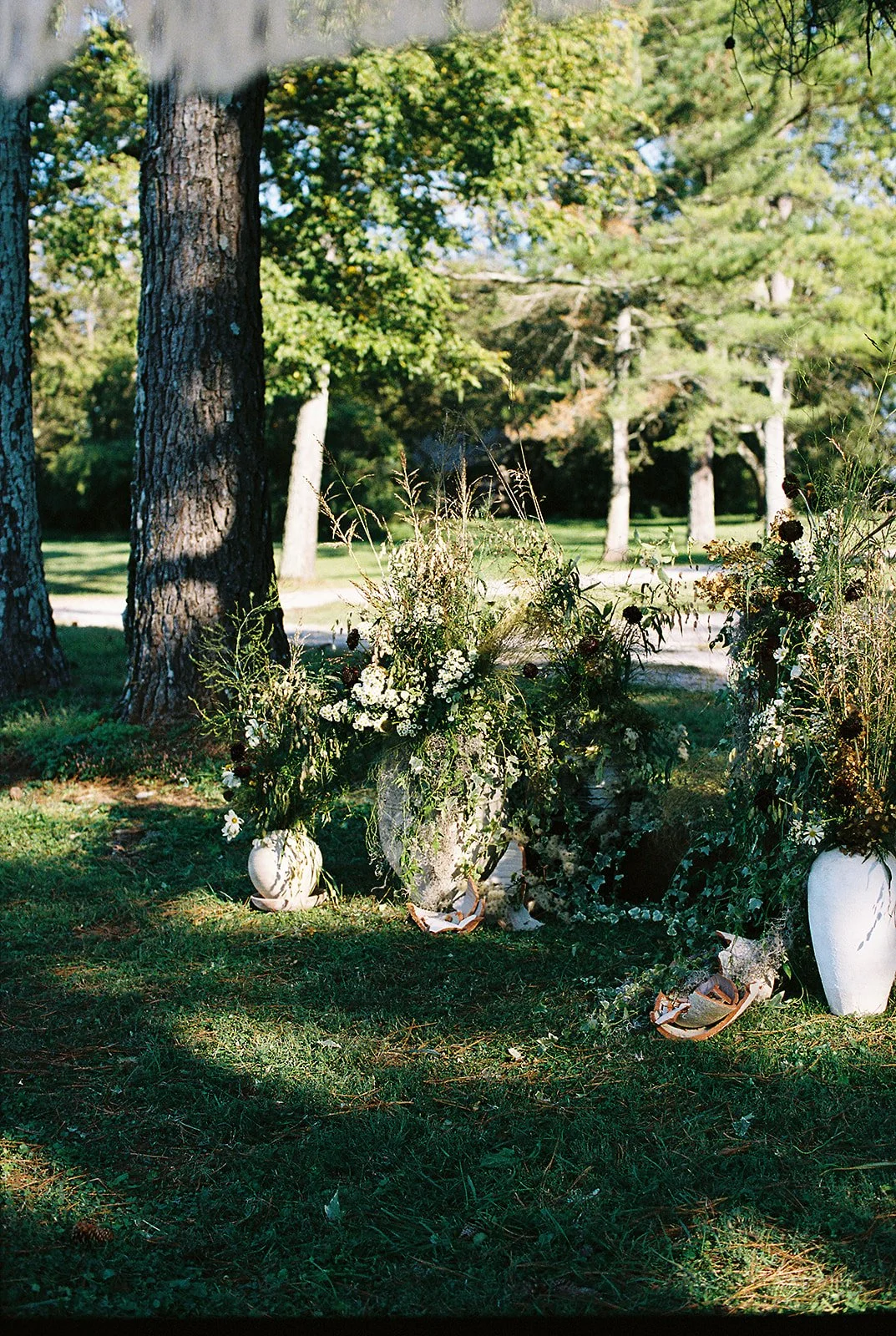 AT_4132_Portra 400_366640-R1-046-21A_websize.jpg