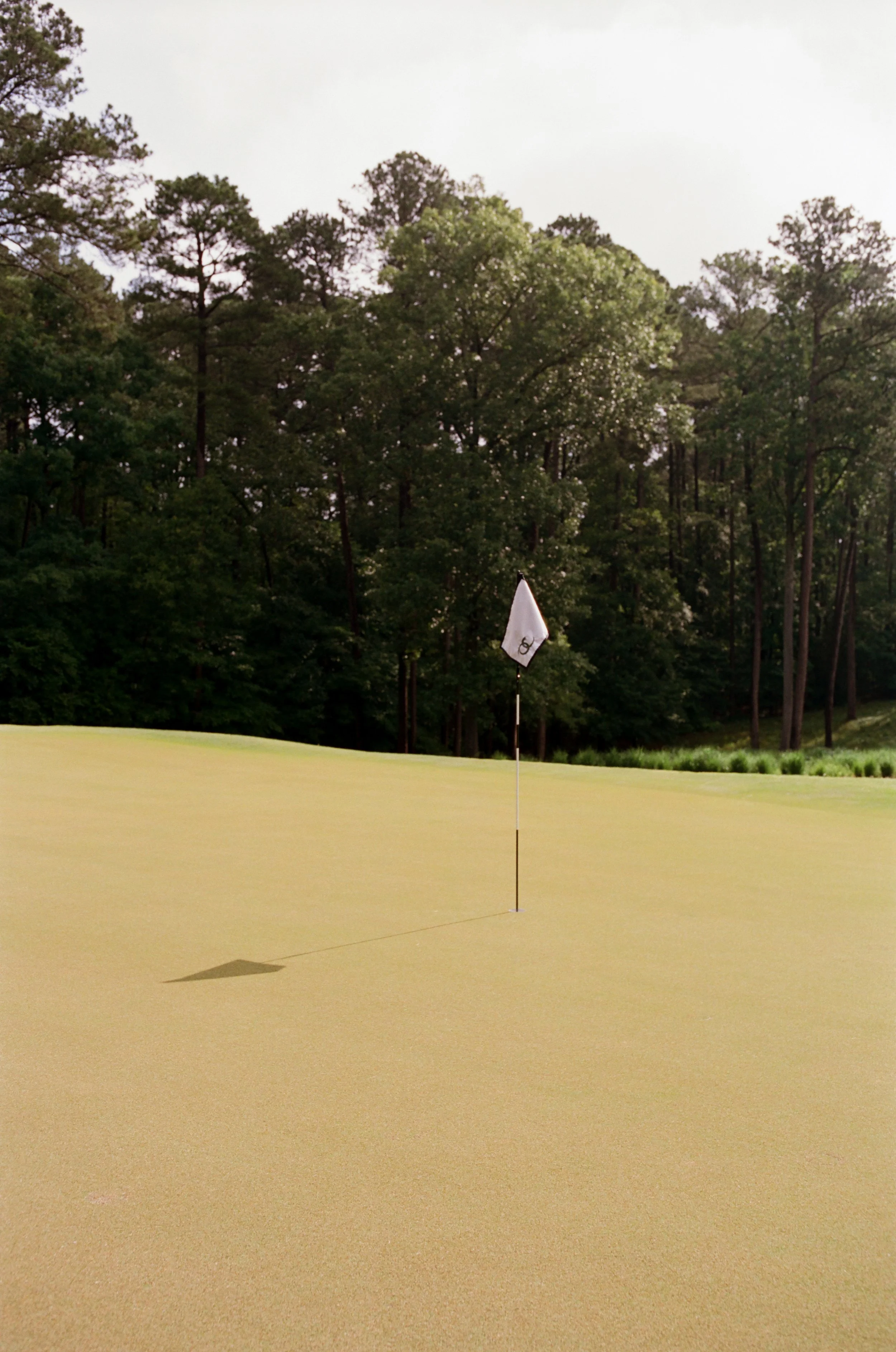 kodak_160_c_41_30393_93018_206531_002066880004.jpg