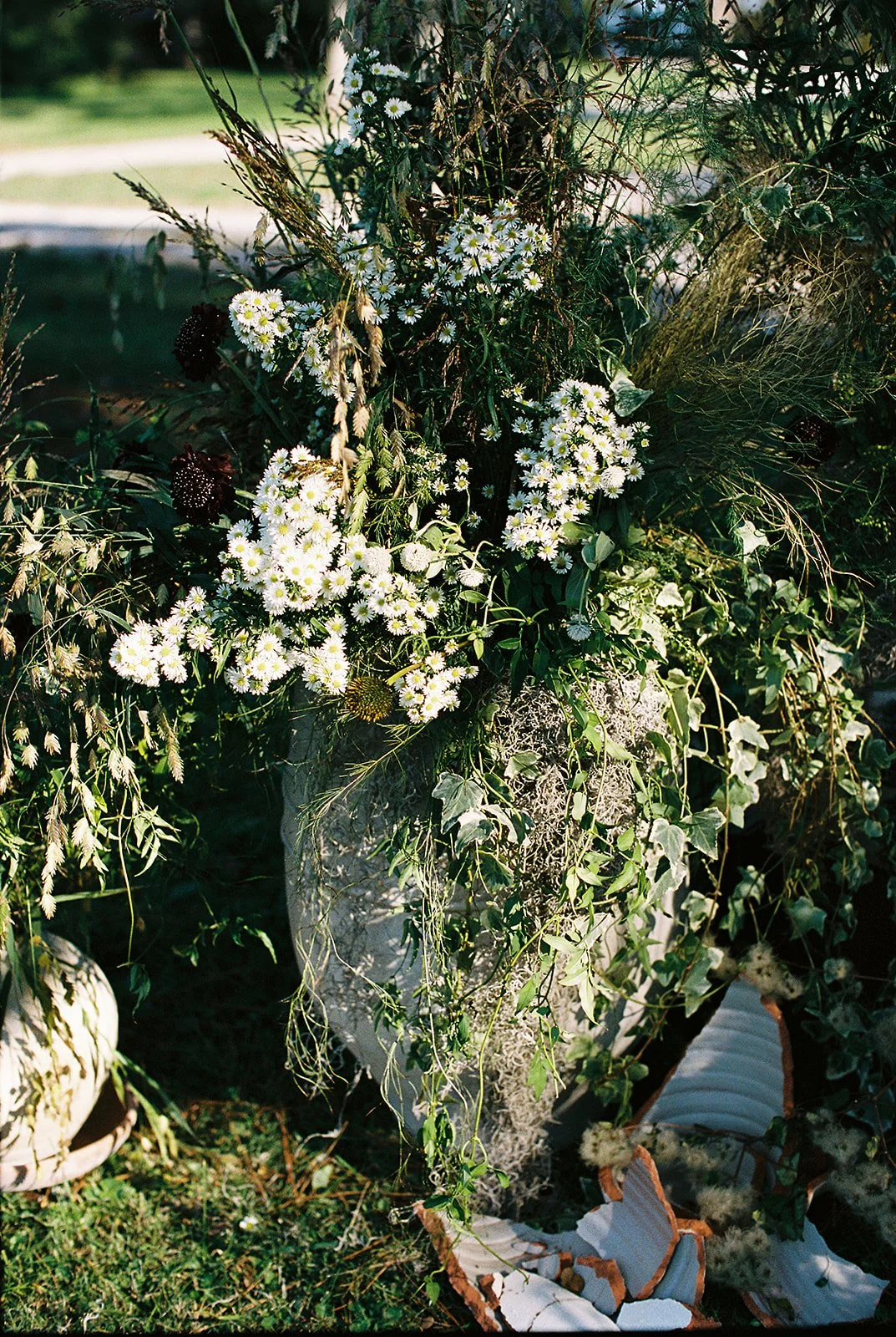 AT_4132_Portra 400_366640-R1-050-23A_websize.jpg