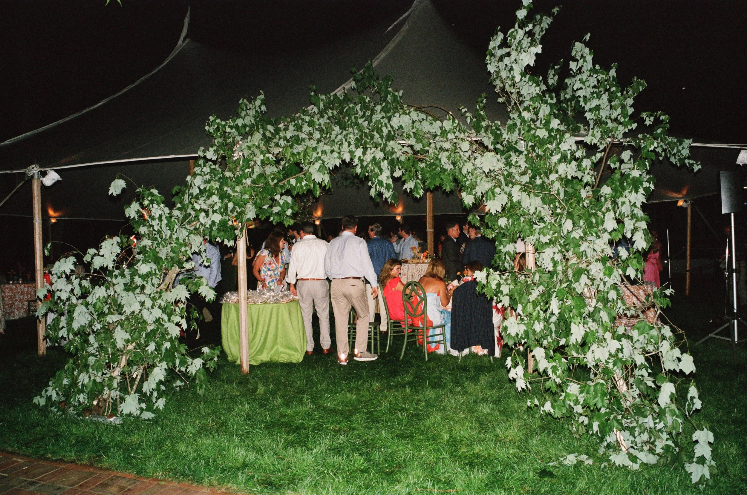 kodak_800_c_41_30393_93018_206550_002066800002.jpg