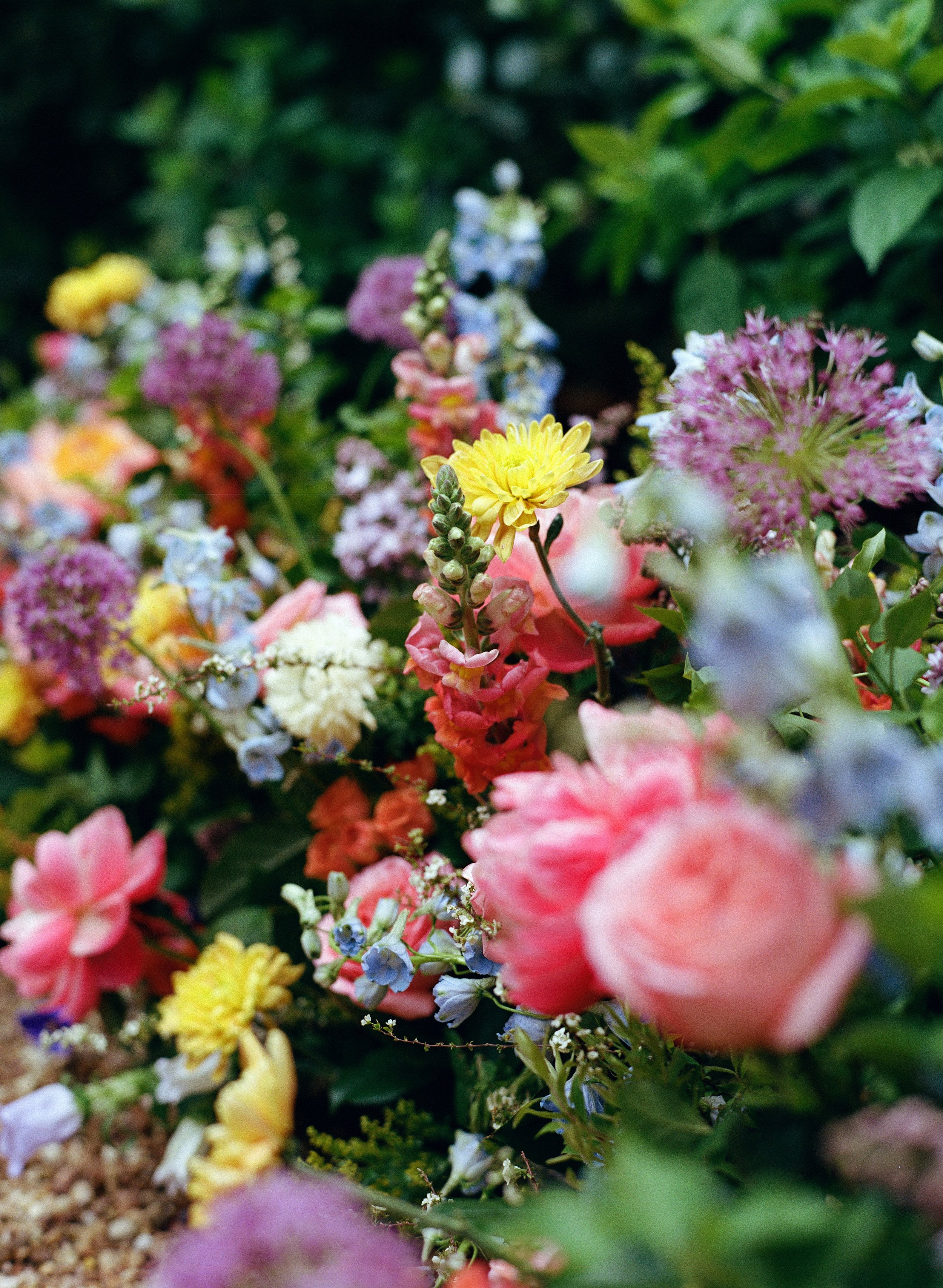 kodak_professional_portra_400_05_02_2025_000228680007.jpg
