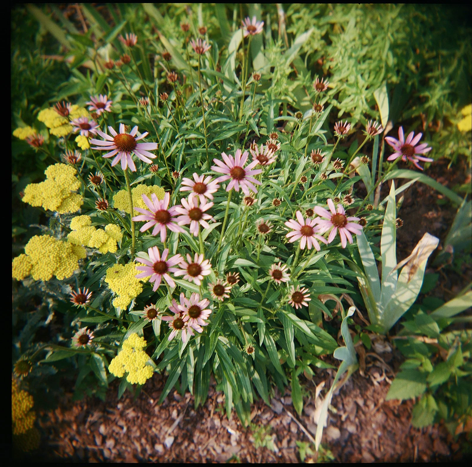 kodak_400_c_41_30393_92077_204359_000404870008.jpg