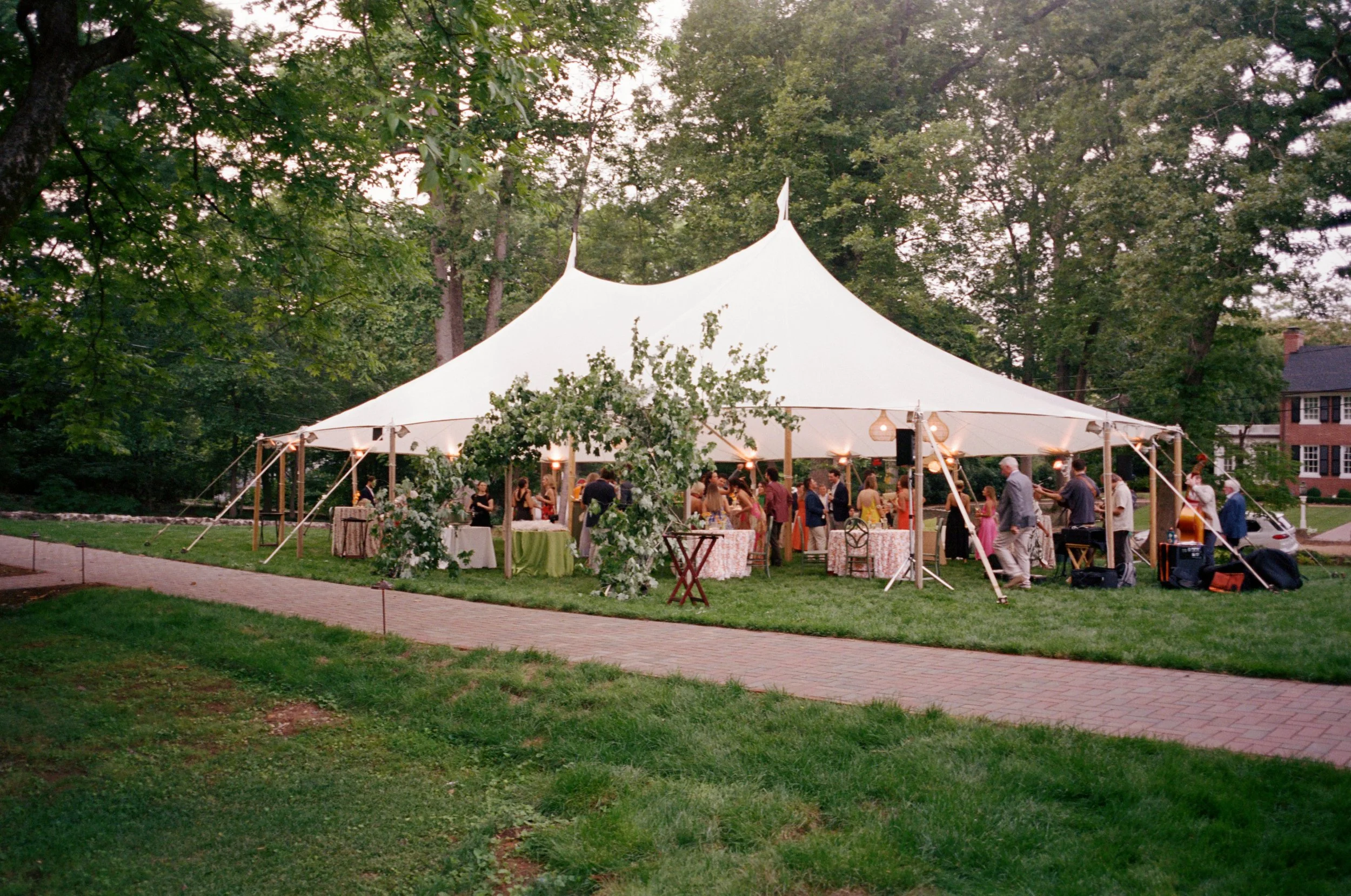 kodak_400_c_41_30393_93018_206539_002066850012.jpg
