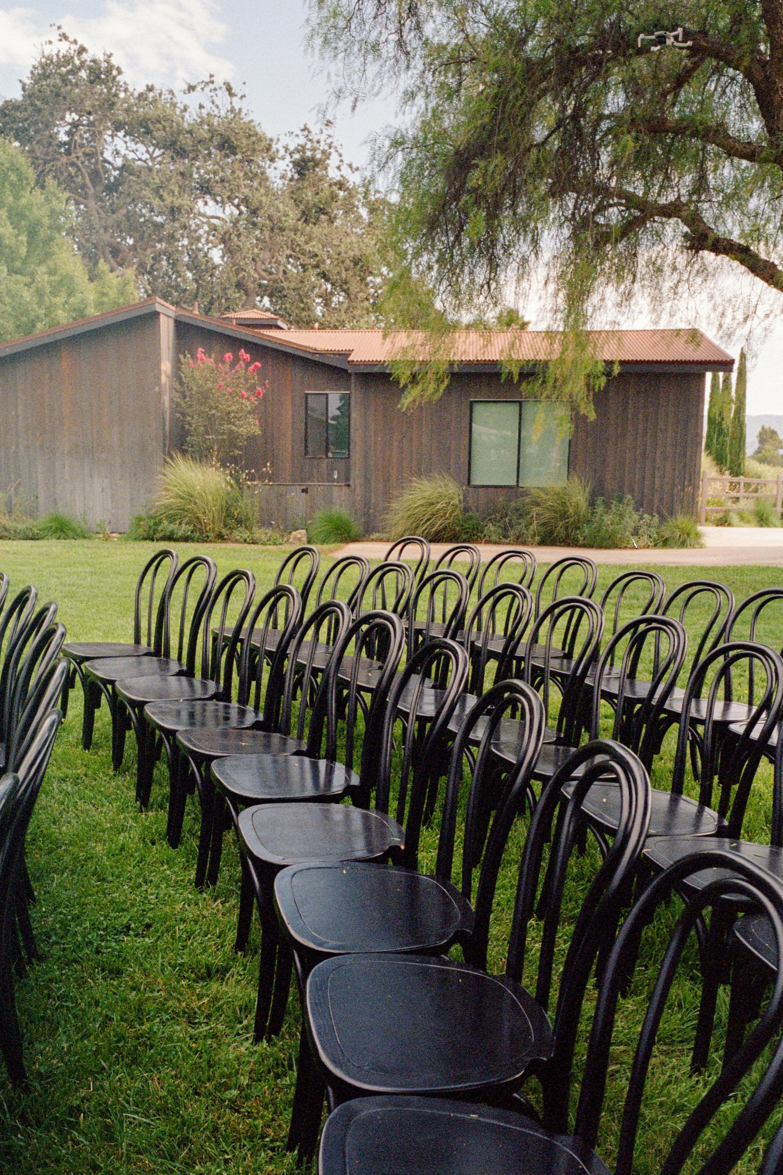 kodak_800_c_41_30393_103149_230839_000083420031.jpg