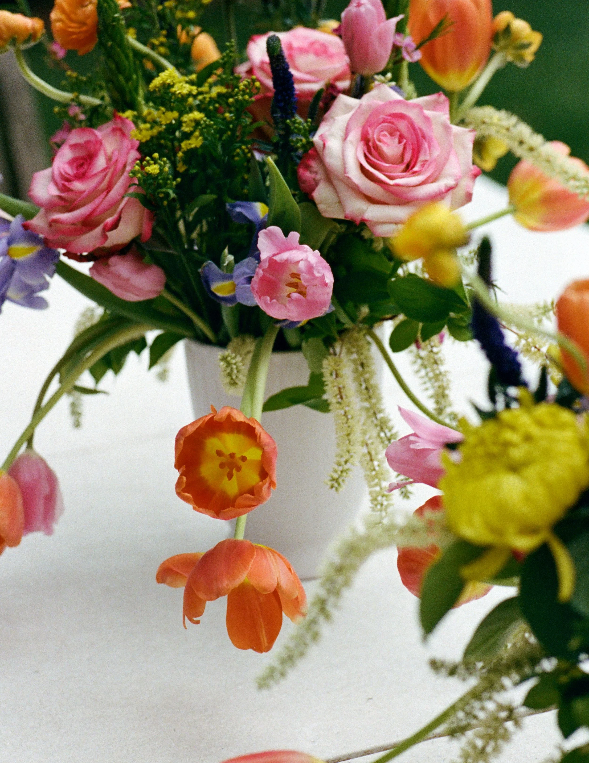kodak_professional_portra_400_05_02_2025_000459070011-Copy1.jpg