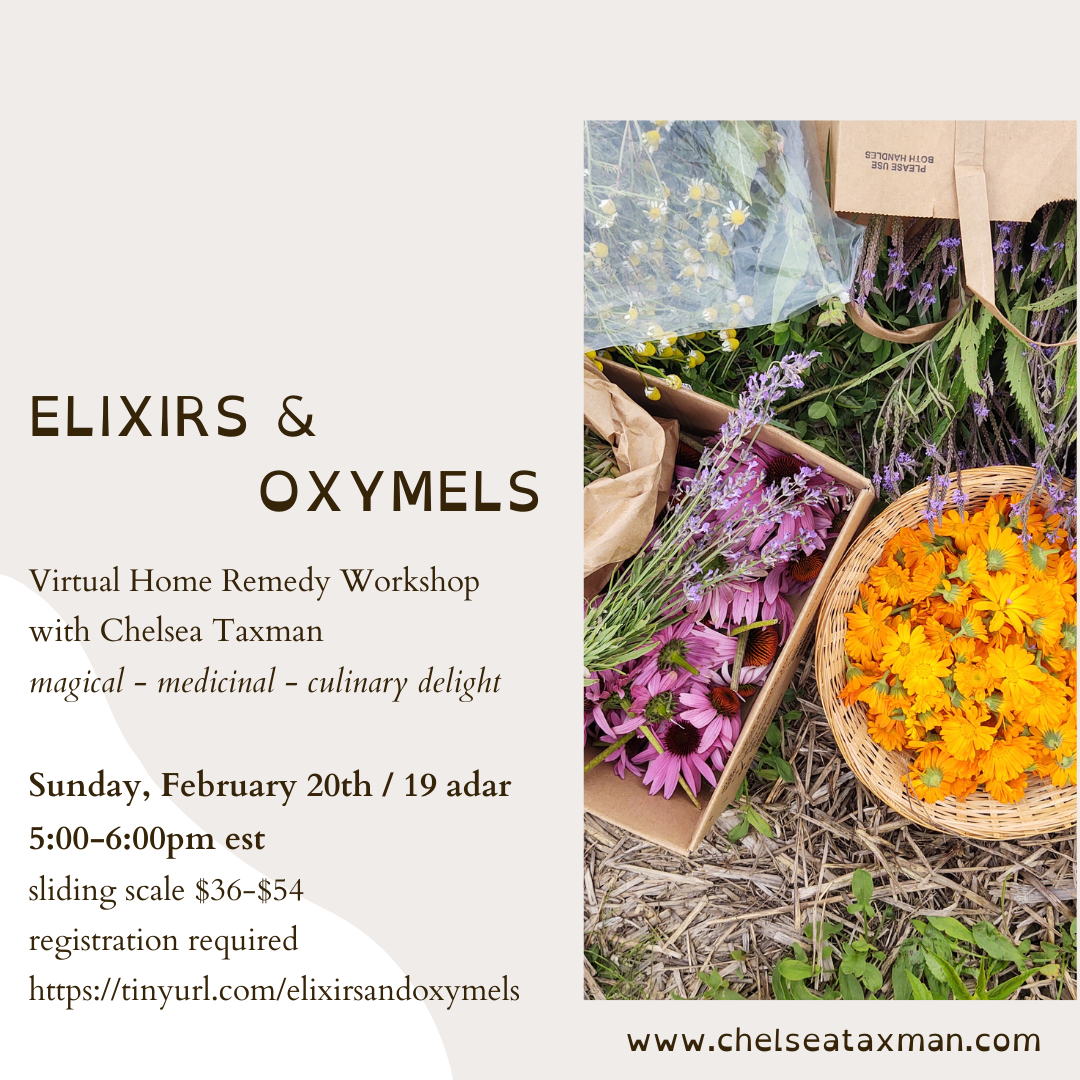 Elixirs & Oxymels: Virtual Workshop