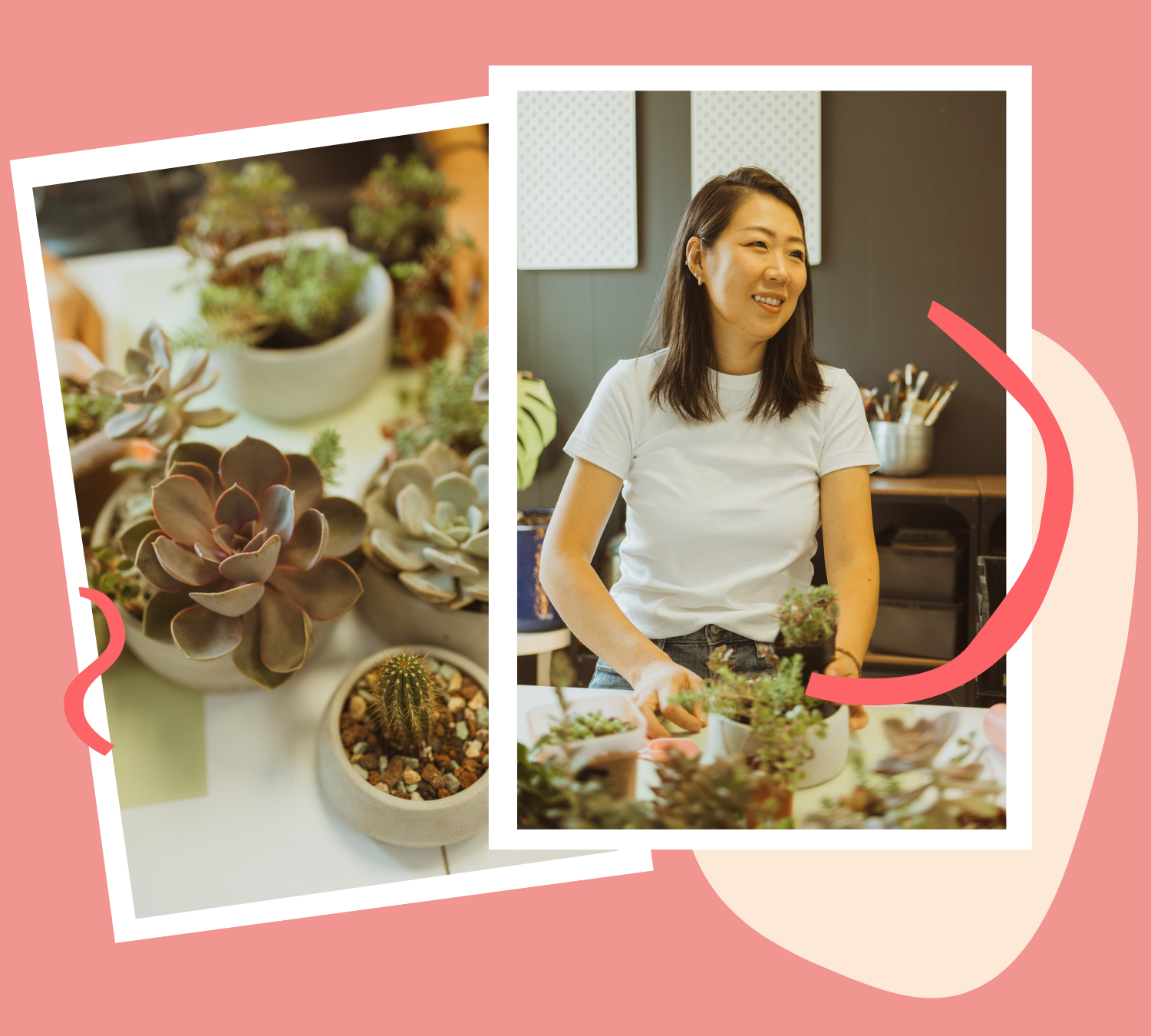 Meet The Succulent Spot