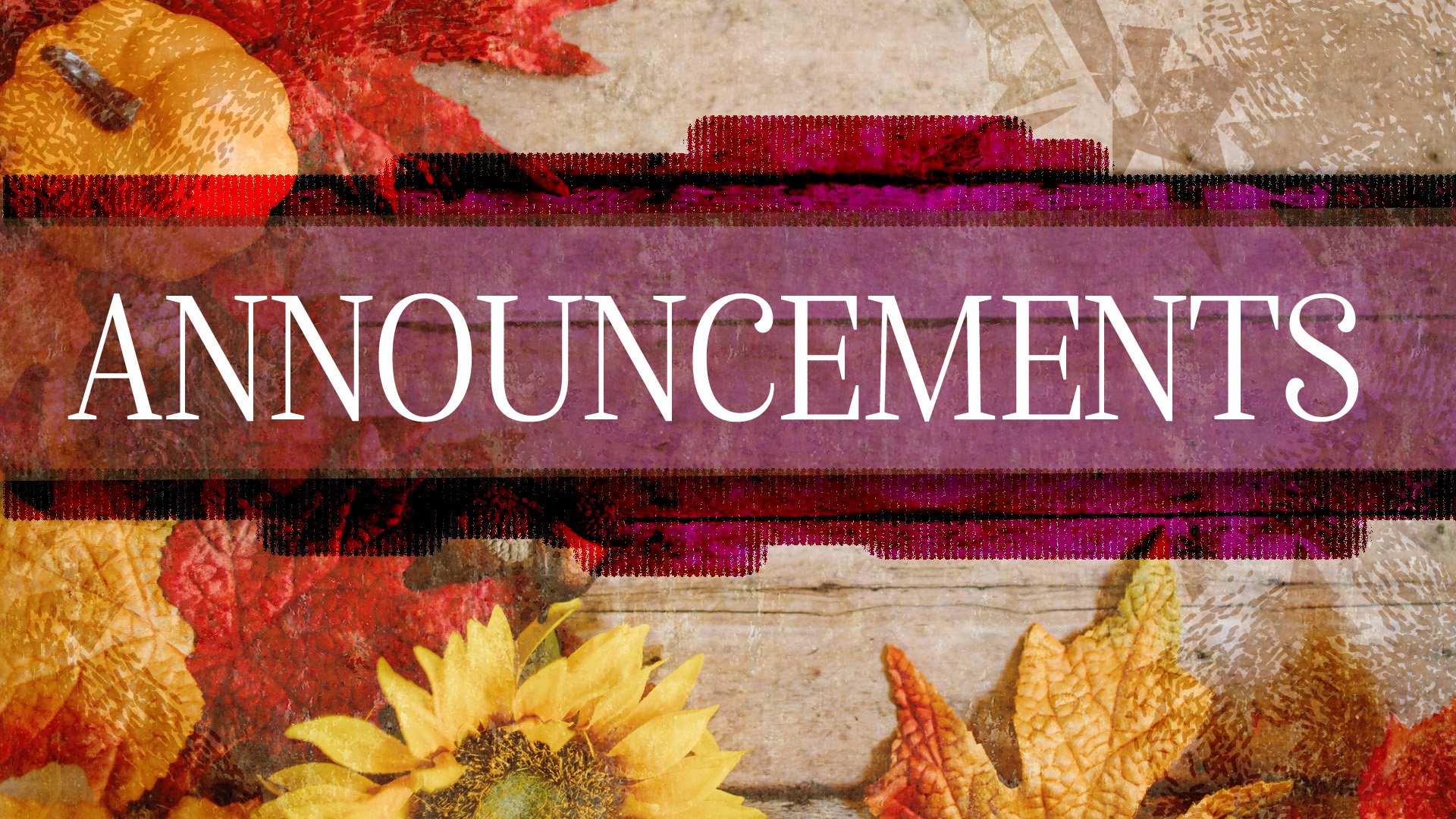 Weekly Announcements: Week of Nov. 3, 2024
https://conta.cc/3Ab3URZ