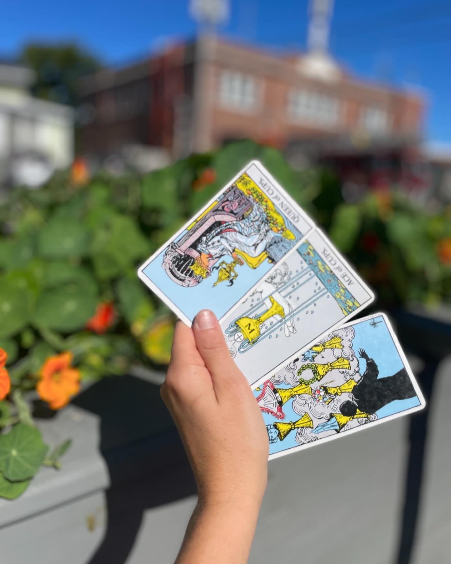 october collective tarot