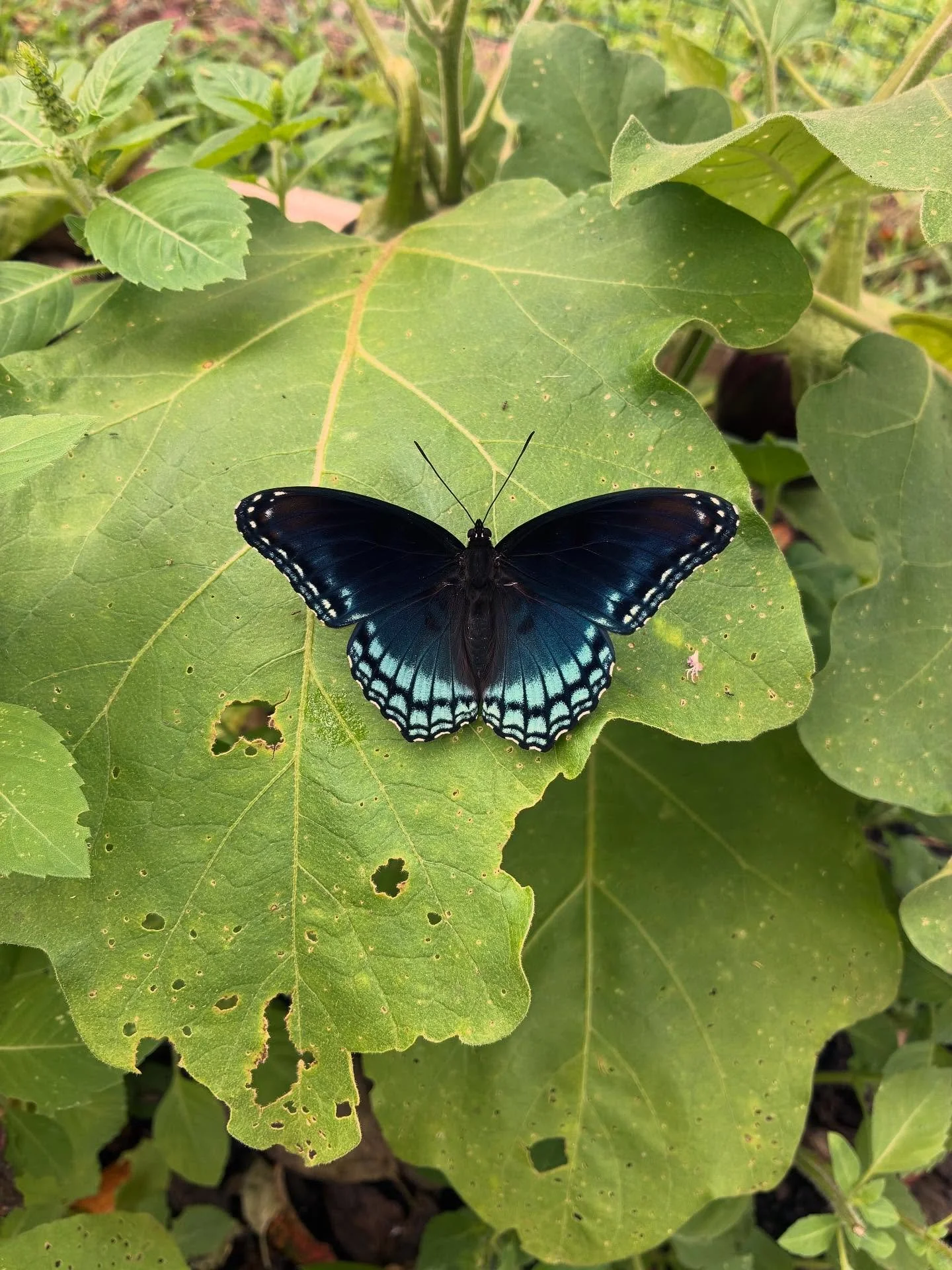Equinox is here! As the cosmos dance and reveal equal parts light and dark, day and night, we are offered a pause where everything stands still, in ease, in alignment, in intention. And then, just on the other side, the pathway to autumn is revealed.