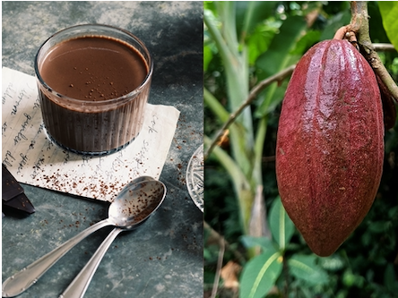 December New Moon Cacao Pop-Up