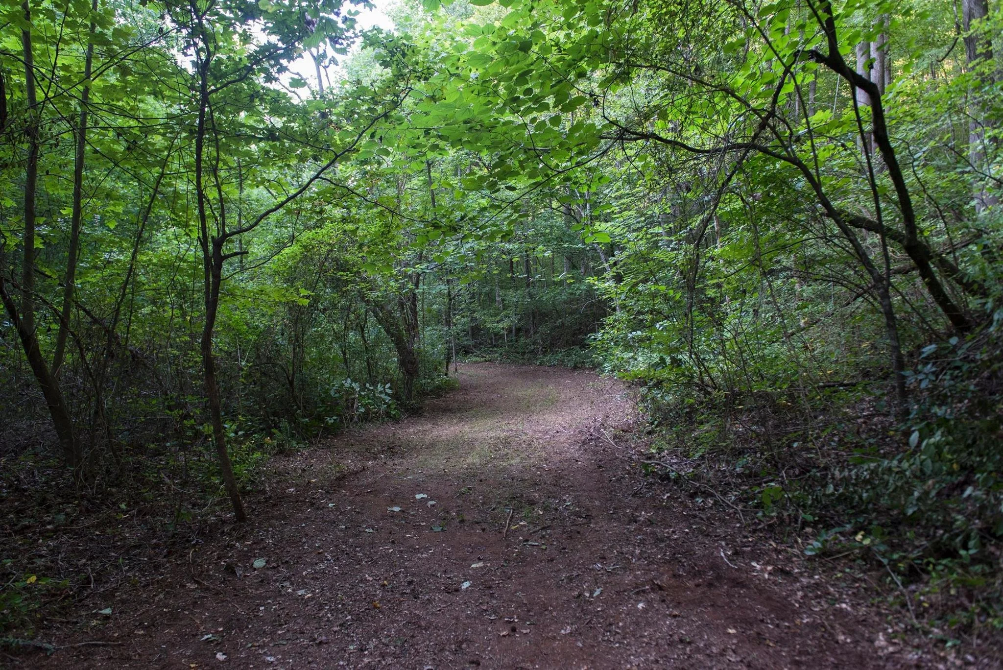 Copy of 21122344_10107107622214952_9018062438423311257_o.jpg