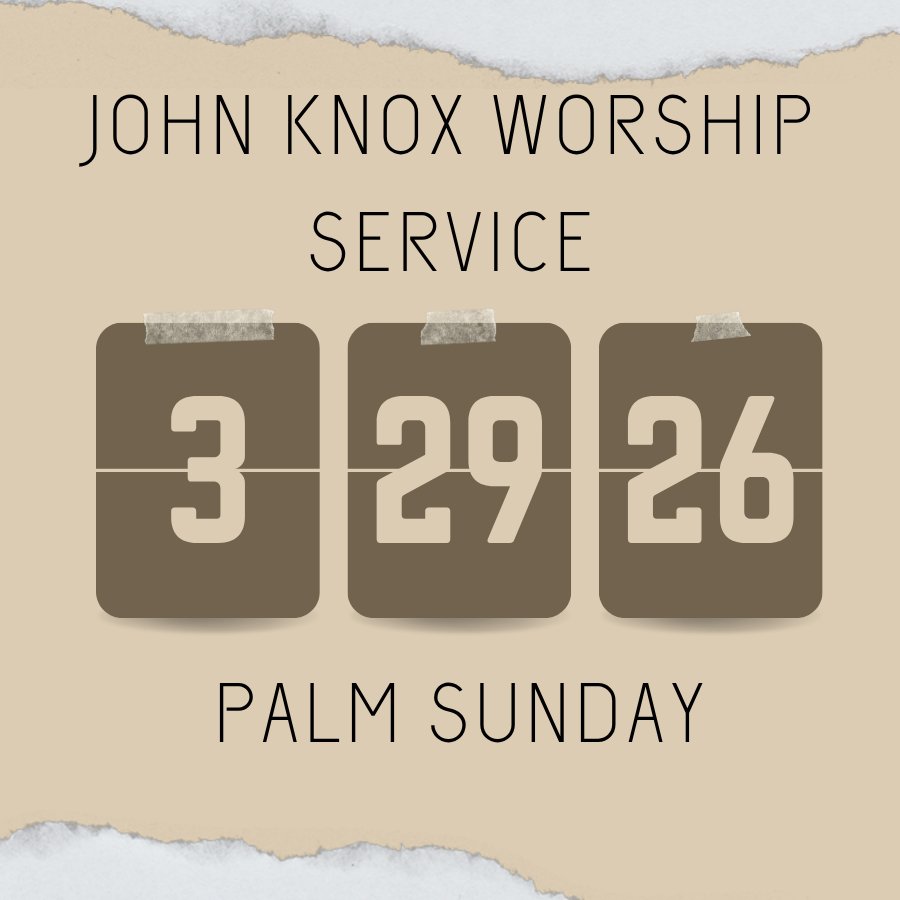 “Pausing the Parade for A Few Questions”           Palm Sunday, March 29, 2026