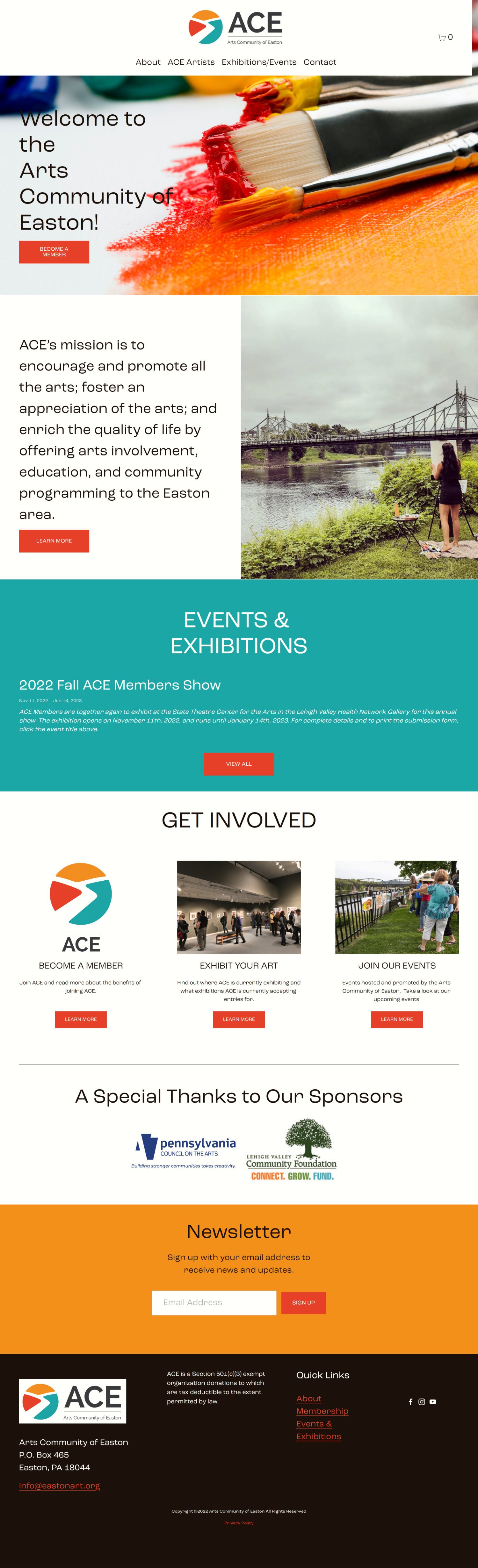 ACE homepage.jpg