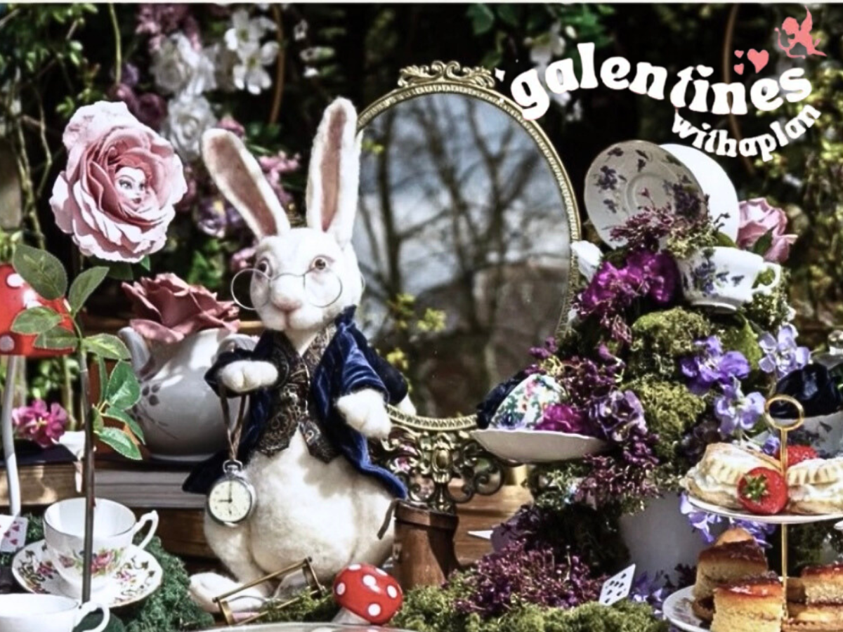 Planners In Wonderland