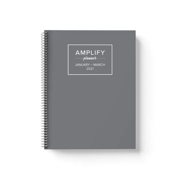 amplifygray.jpg