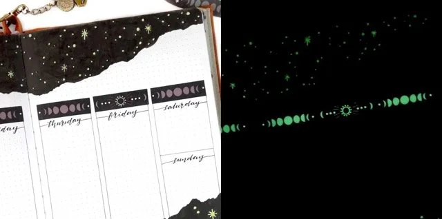 IMG_3847 Medium.jpeg