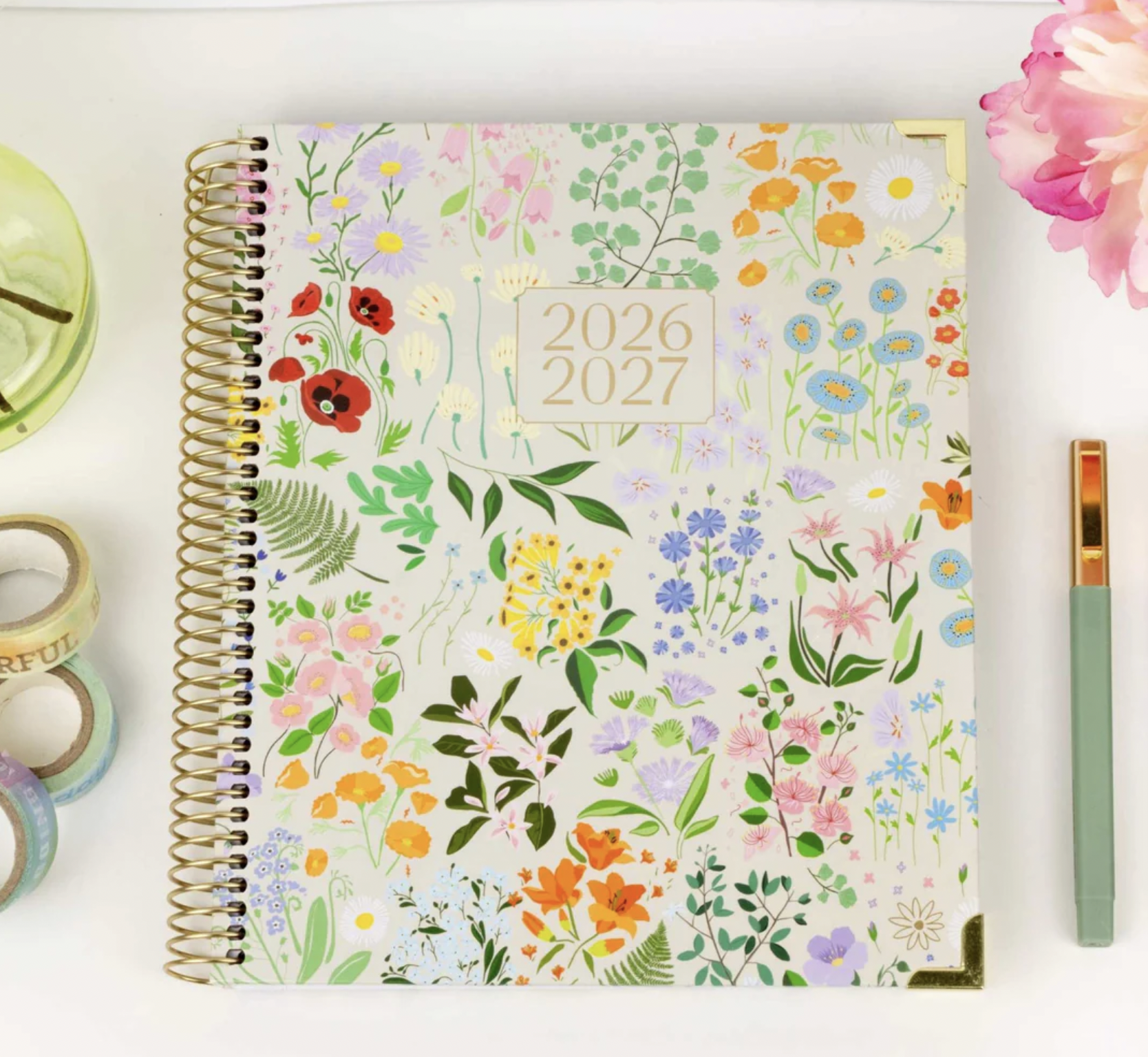 Screenshot 2026-03-17 at 9.10.42 AM.png