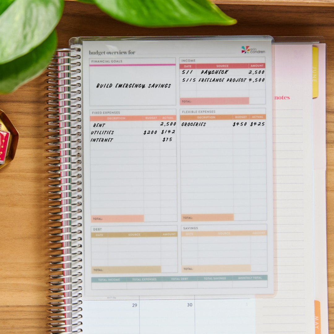 SNAP IN BUDGET DASHBOARD