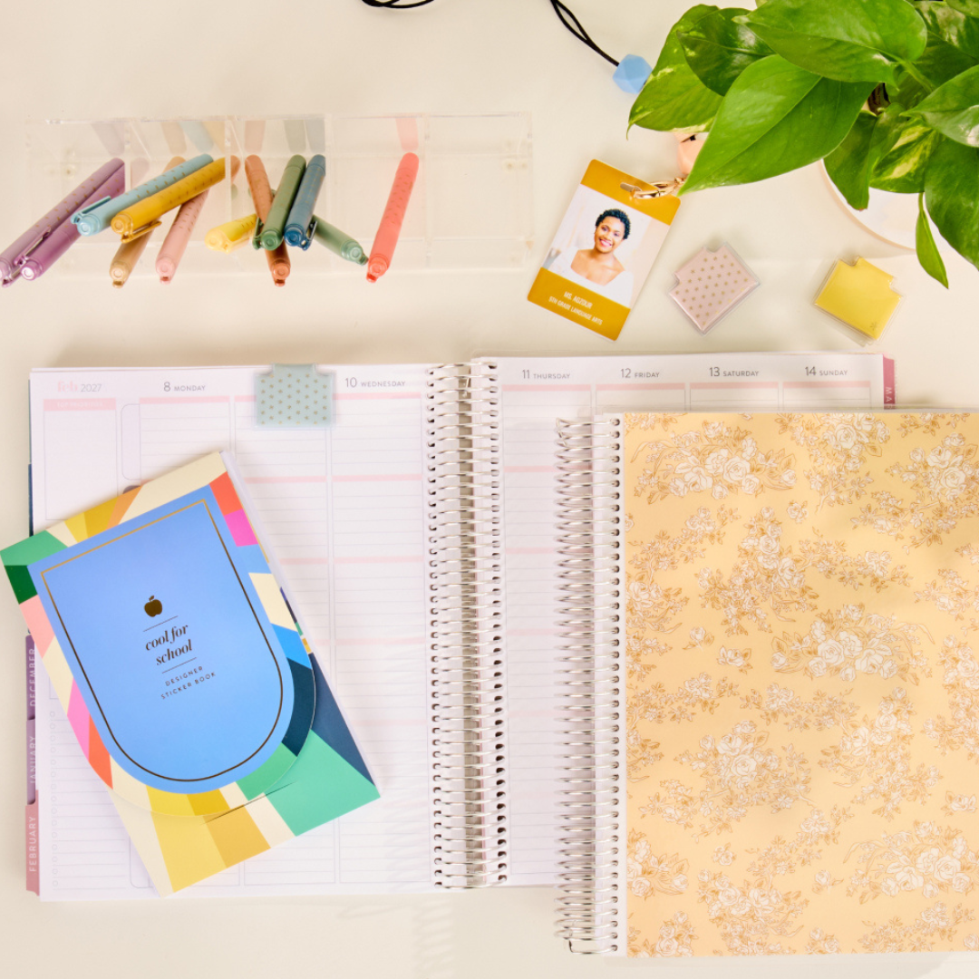 TOILE TEACHER LESSON PLANNER
