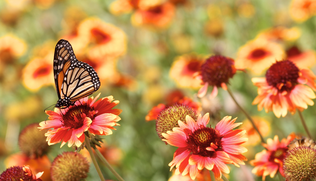 ShopFINDS - The Spring Reset