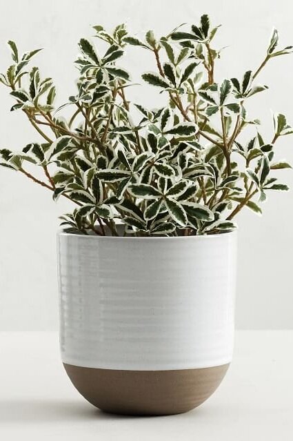 quinn-stoneware-planters-o.jpg