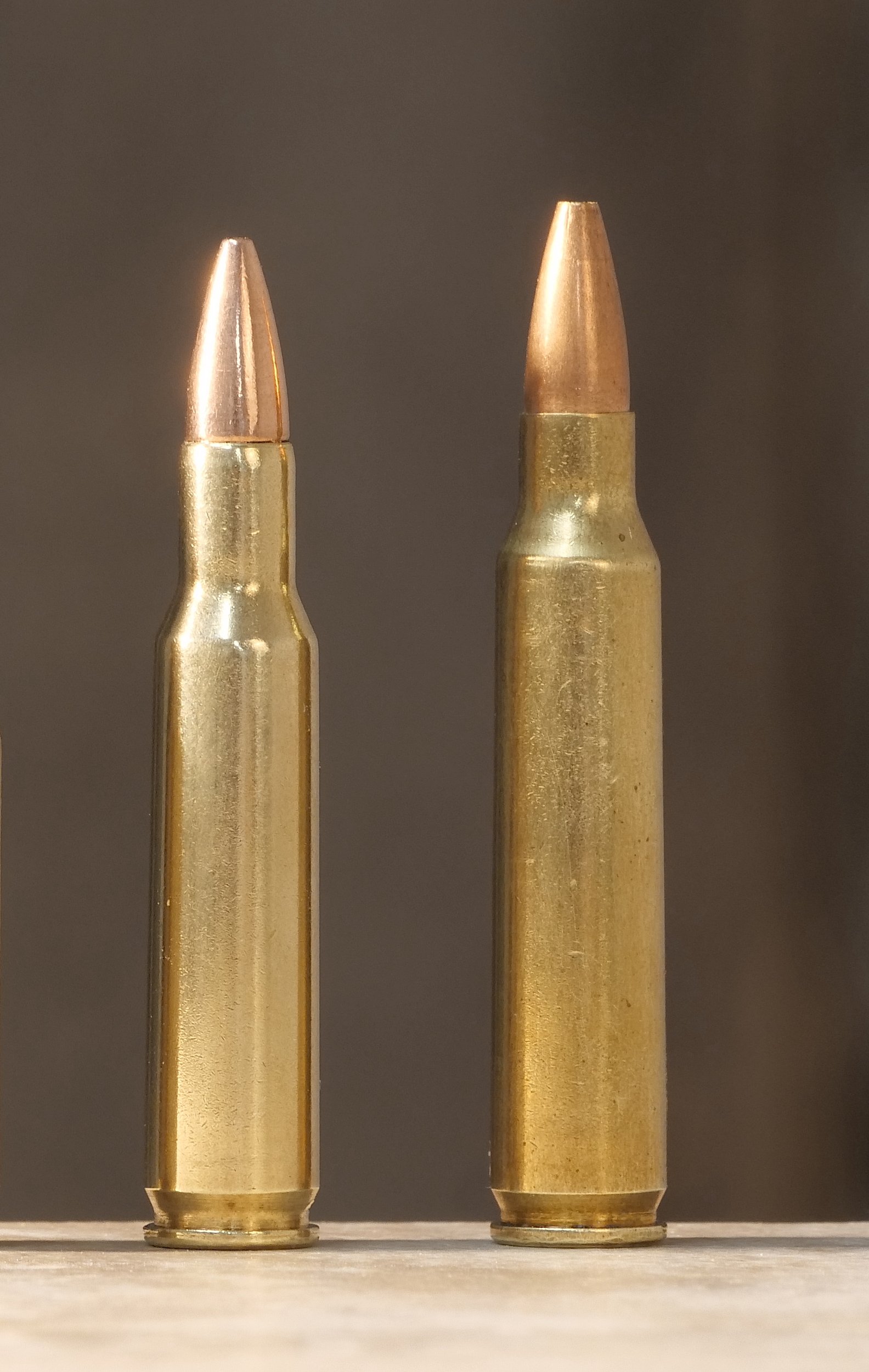 22LR vs 223 (5.56mm) what's the difference?