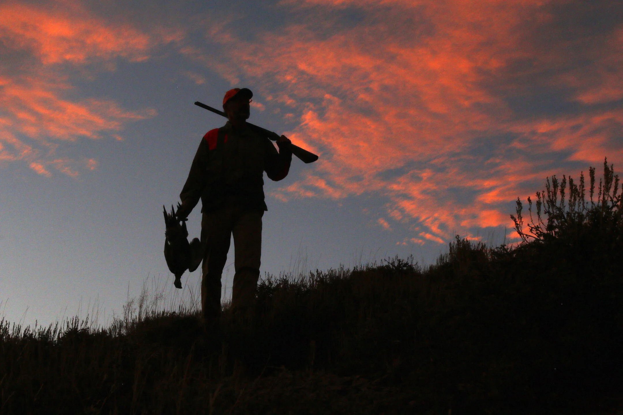 The Sage Grouse Lives!