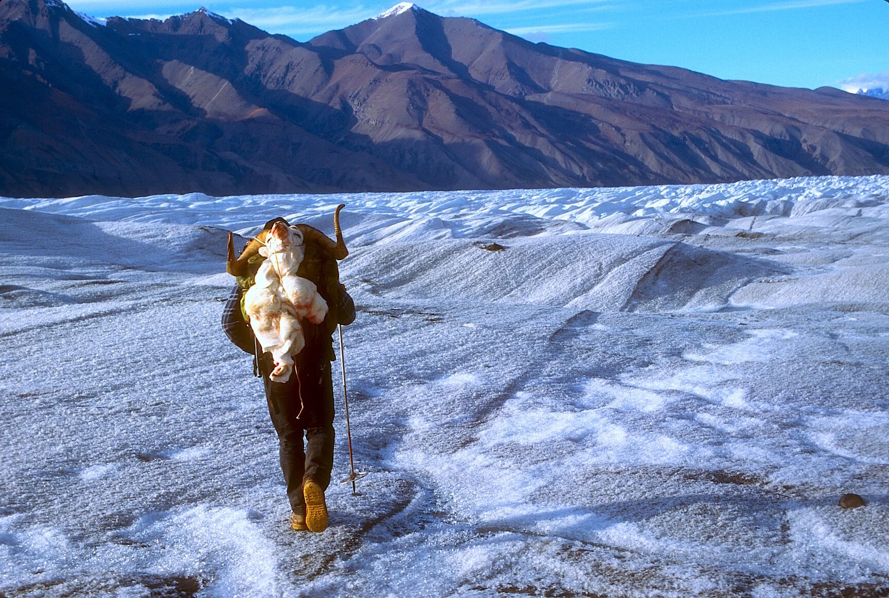 A Tough Scope is Good Scope