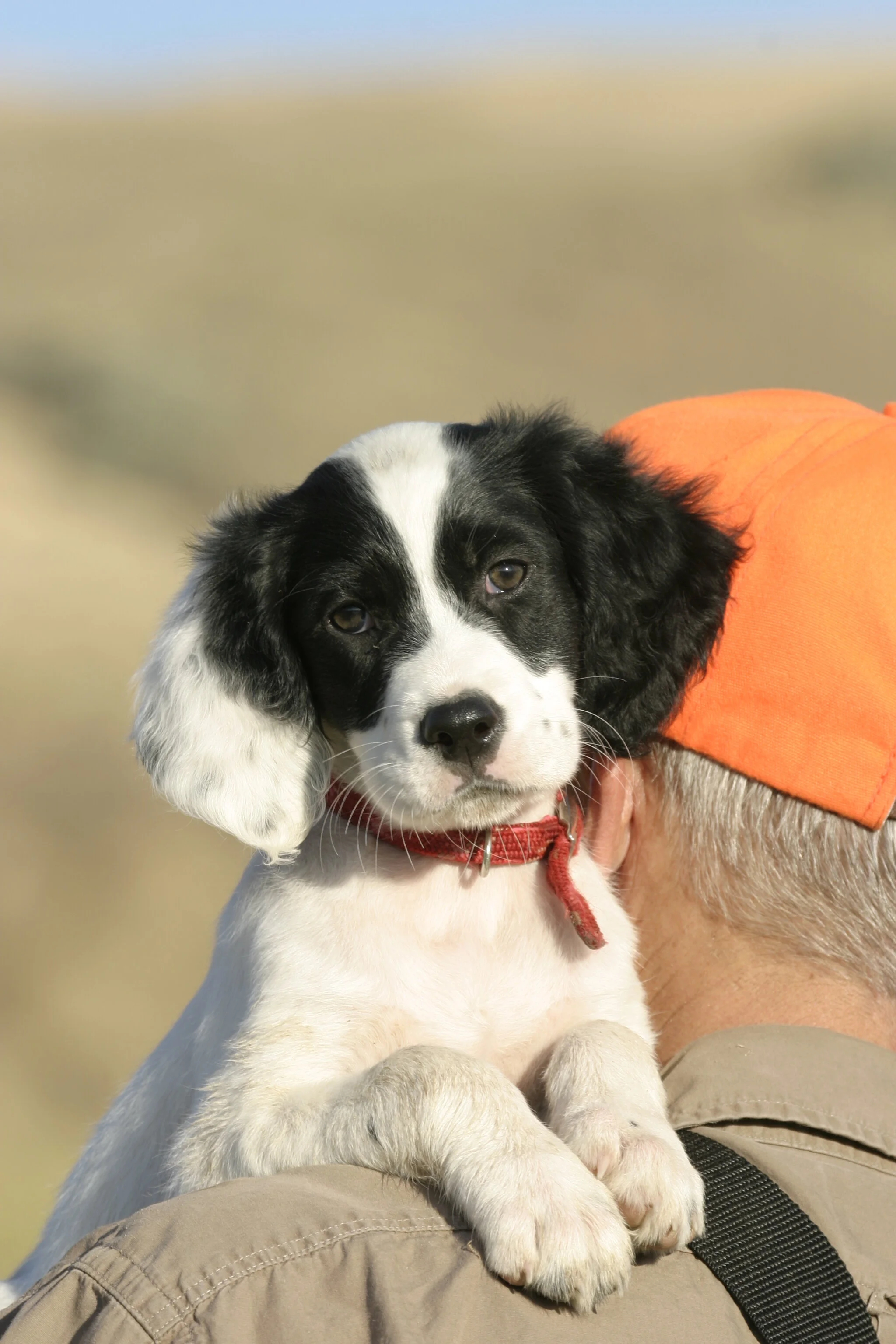 Photo 101: Telephoto Depth-of-Field