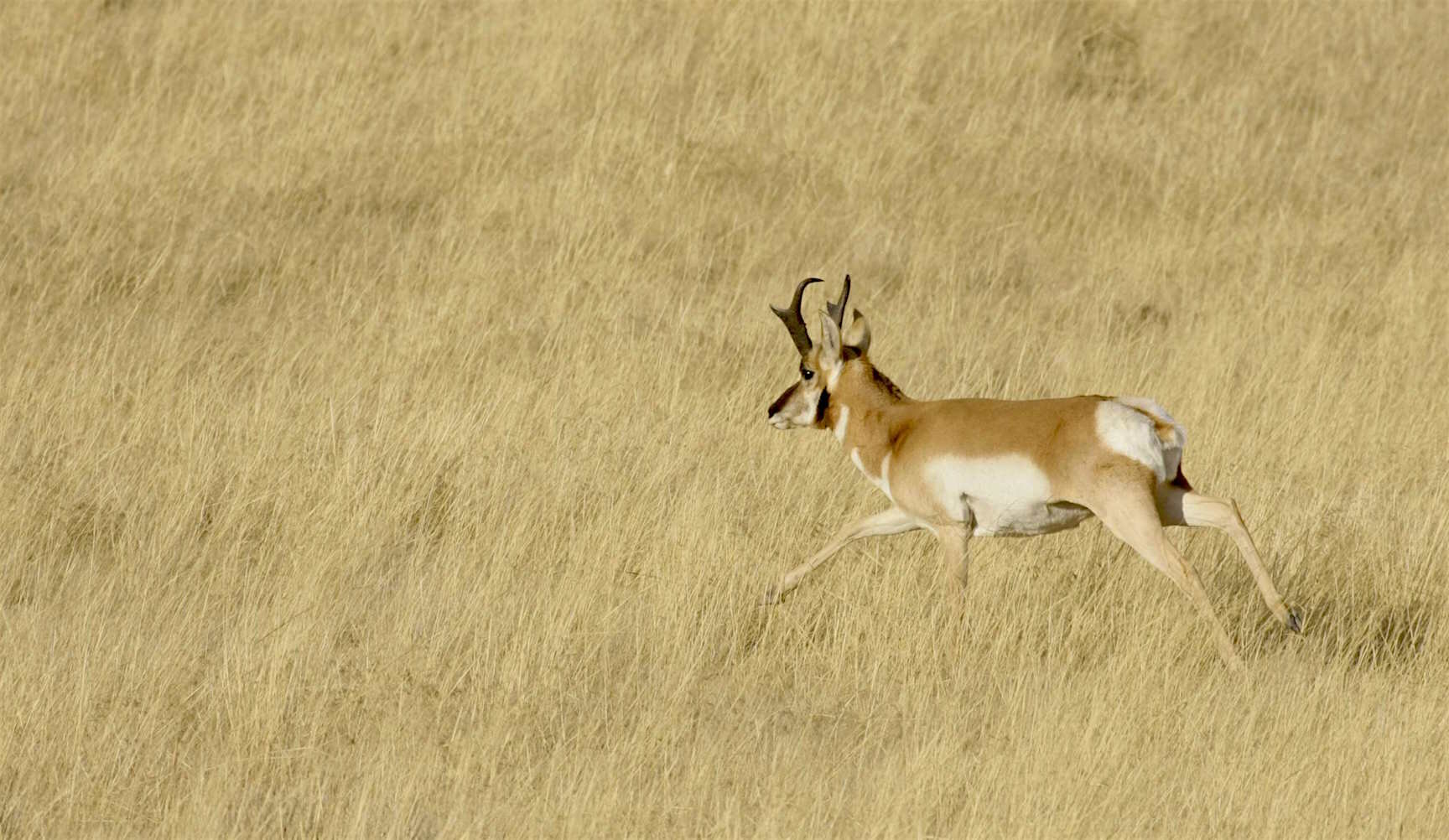 Photo 101: Shutter Speed Essentials