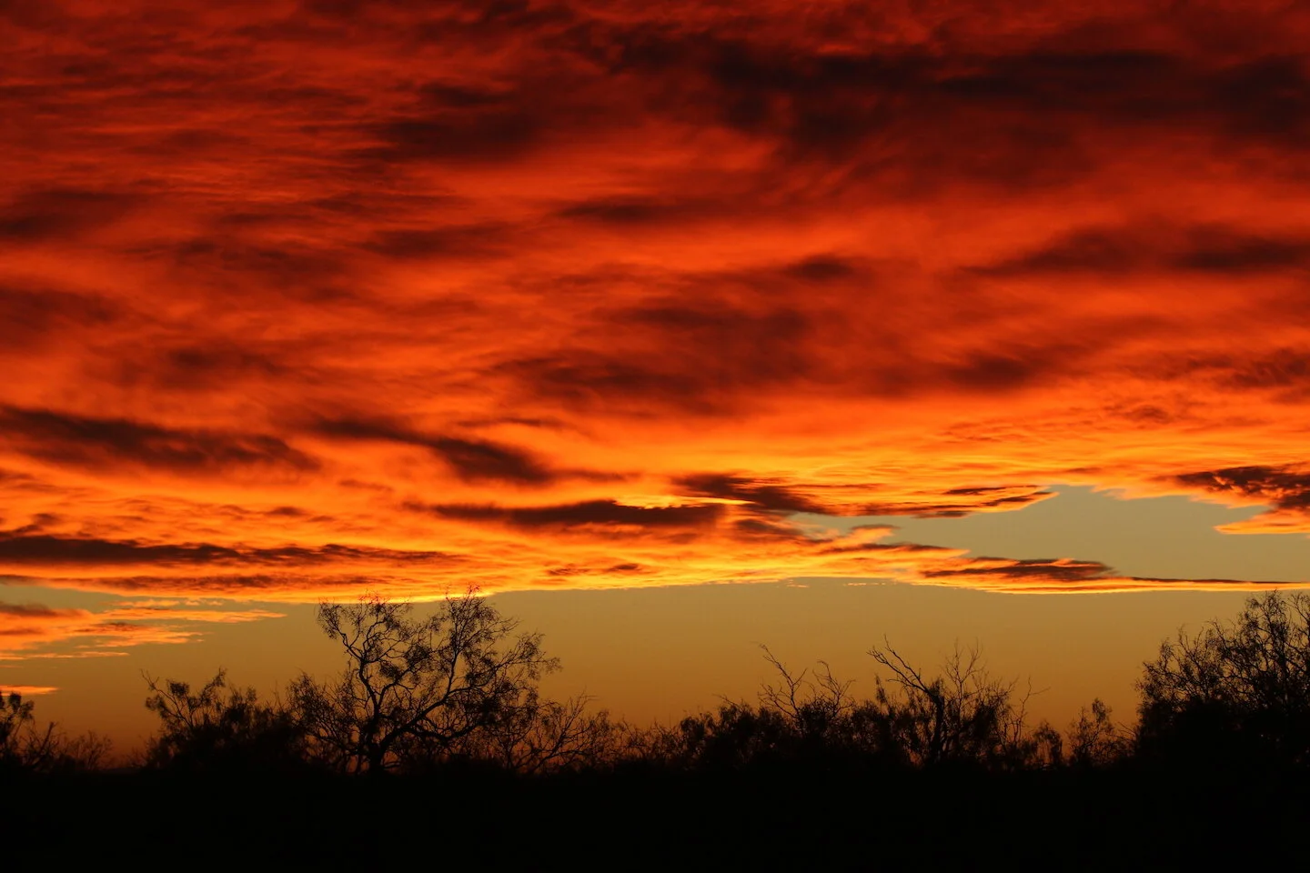 Photo 101: Critique Photos