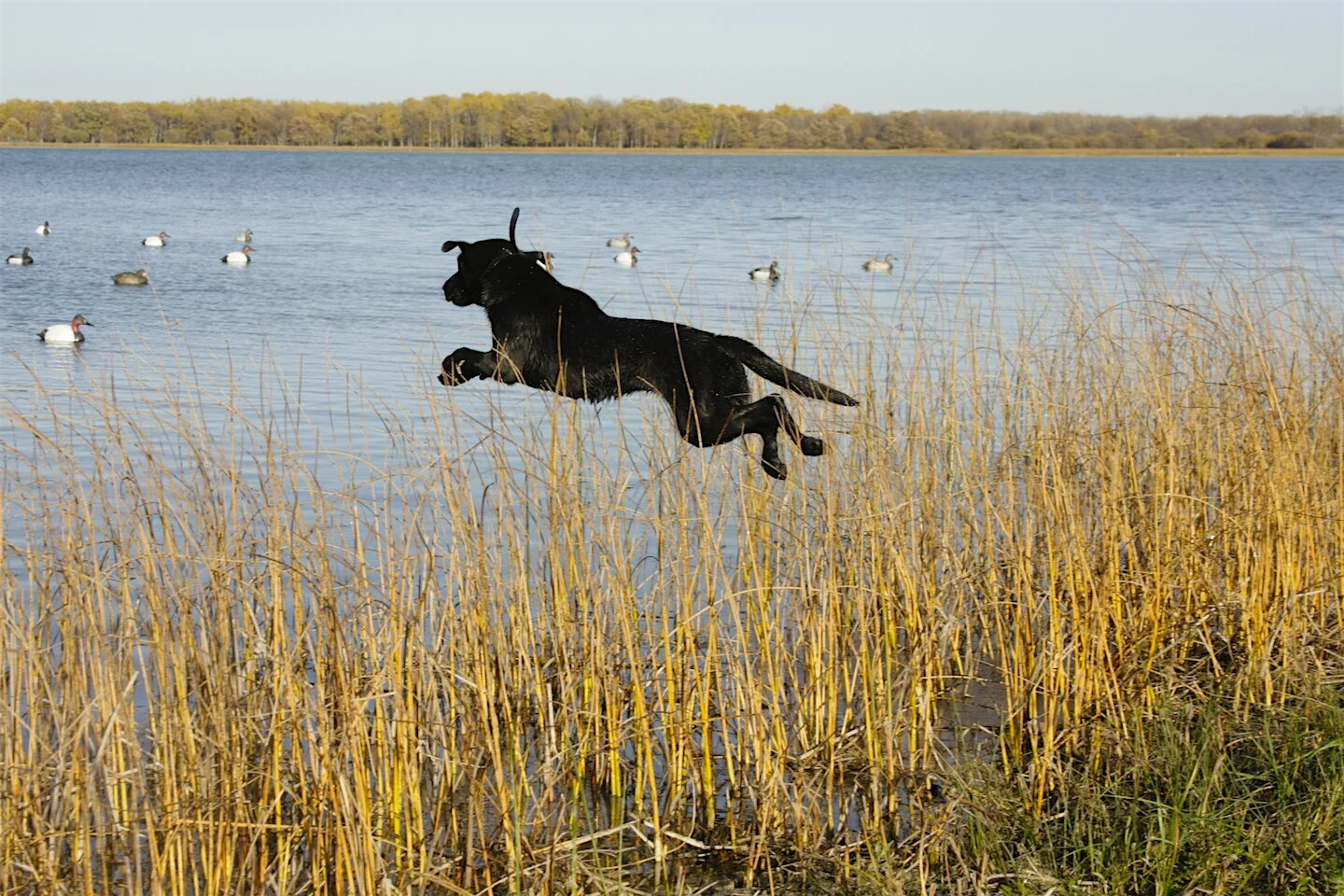 Photo 101: Understanding Exposure Triad