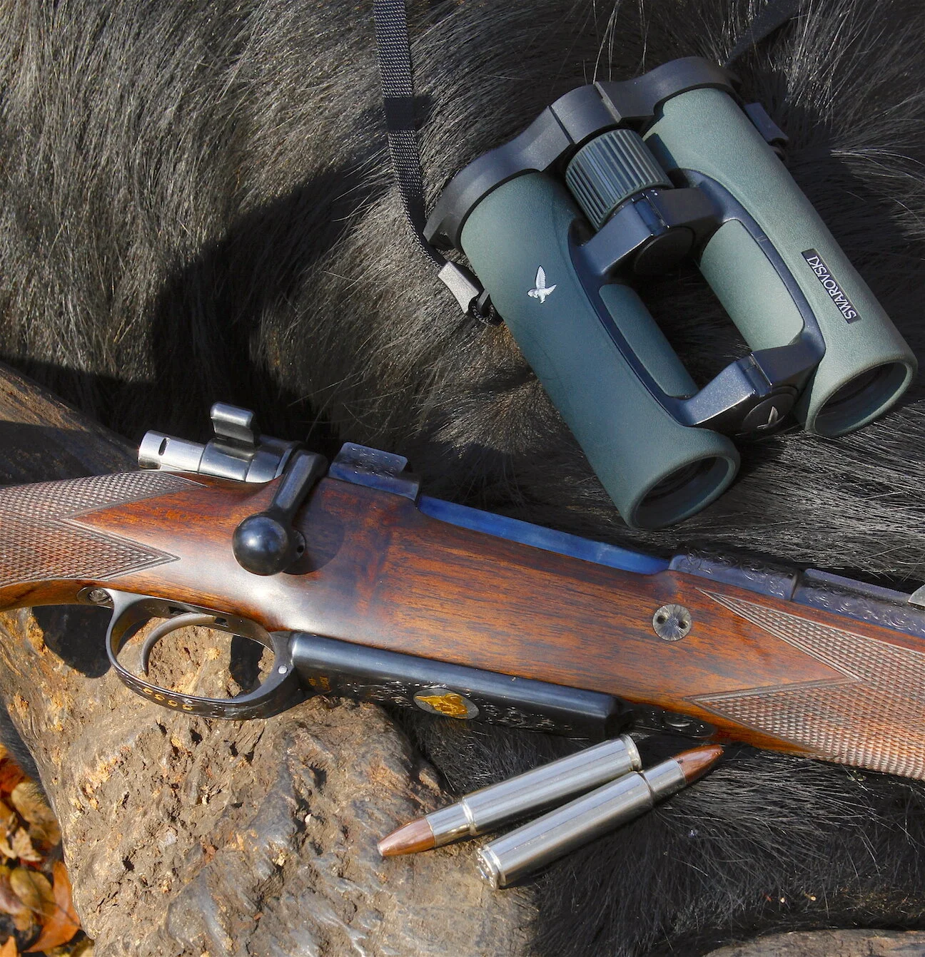 Best Safari Binocular Explained