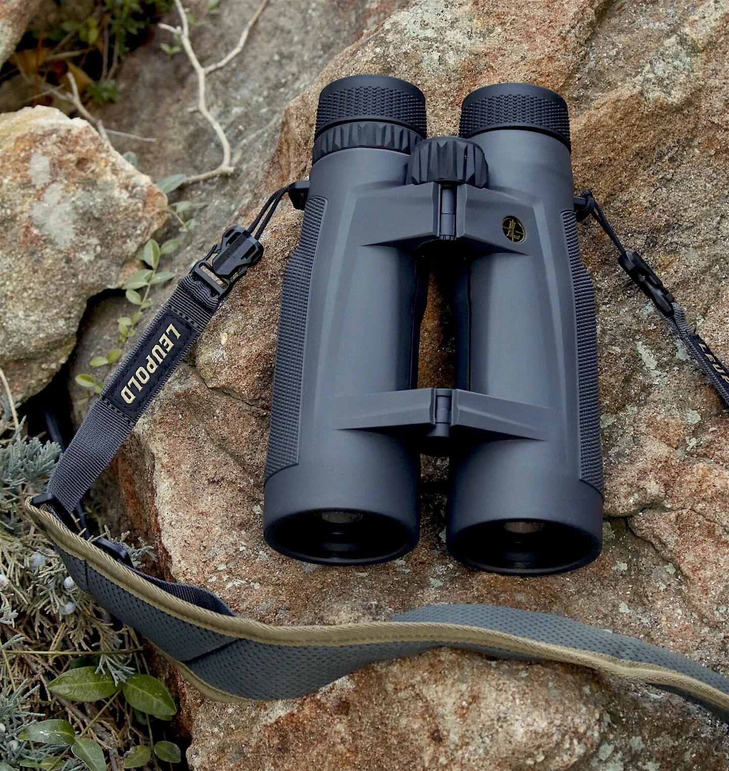 Leupold BX-5 15x56 Binocular Review