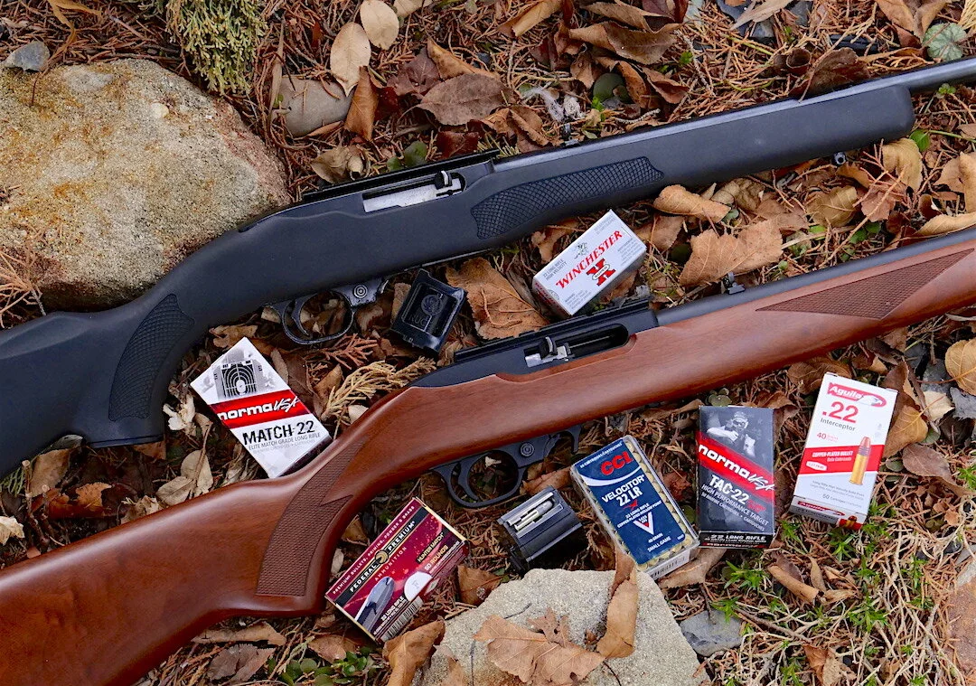 Best Survival Rifle? Ruger 10/22 Rimfire