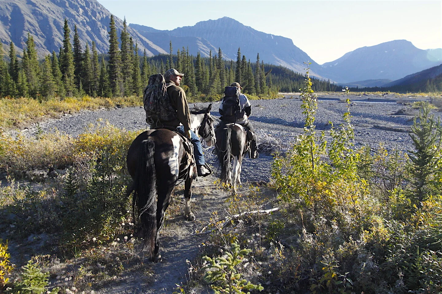 What's Your Favorite Hunt?