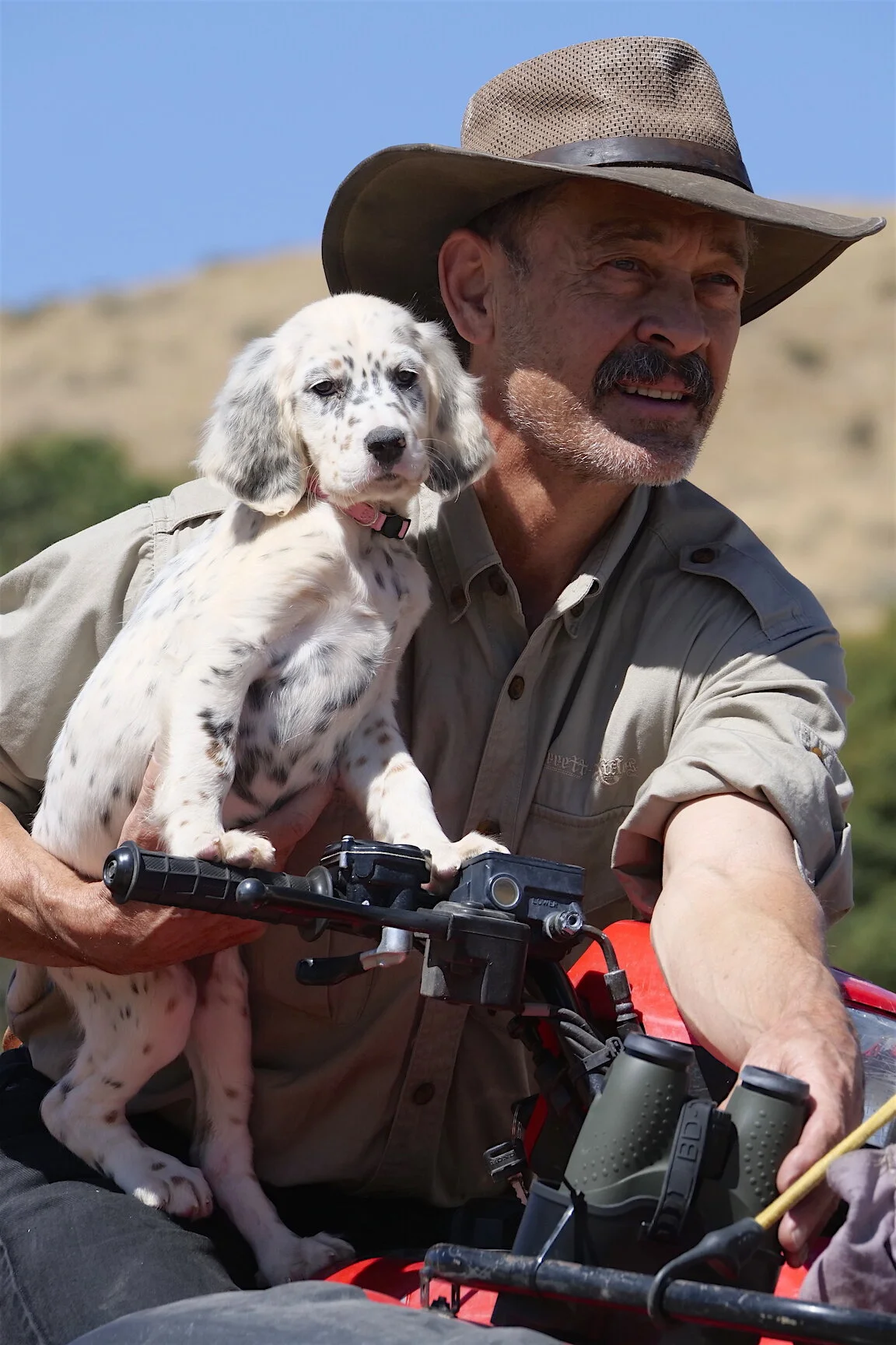 Name Ryman English Setter, Win Bino Dock