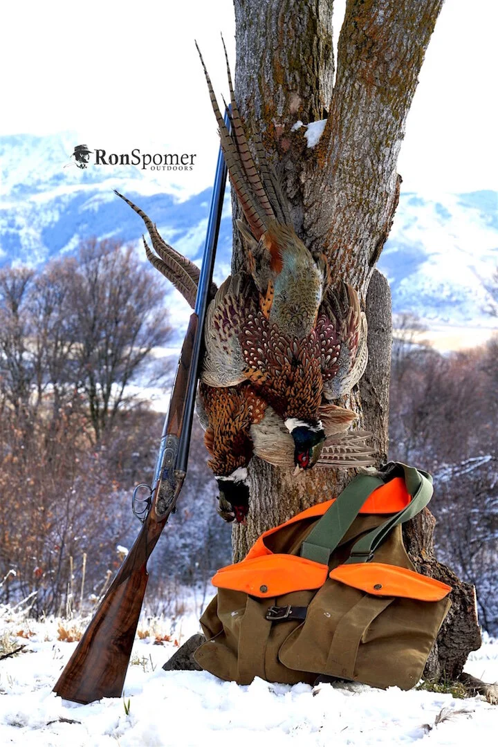 Chewing Dancing Springs Ranch