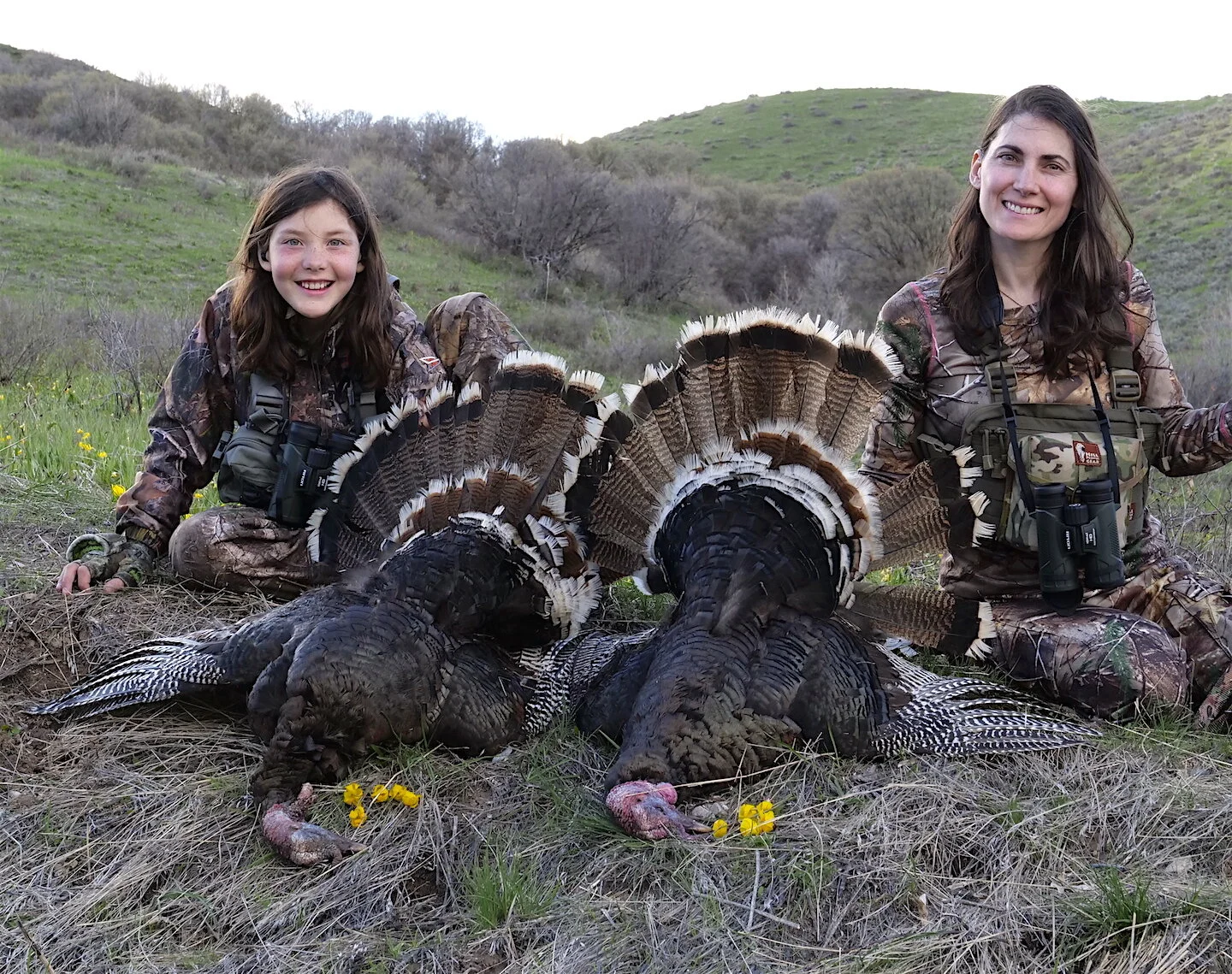 Mossberg Super Bantam Turkey 20 ga Riton!