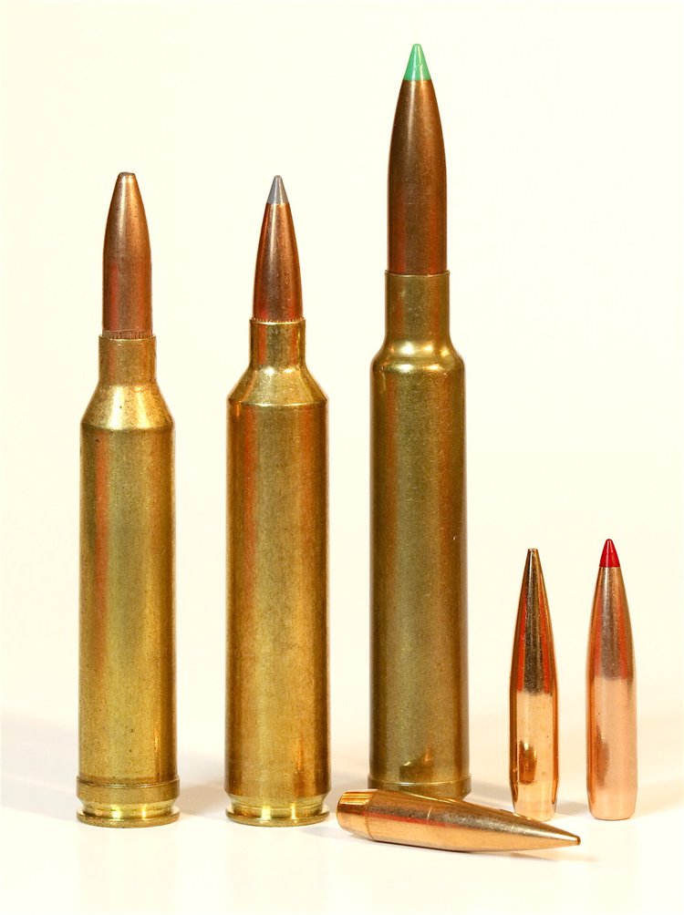 Can 264 Winchester Magnum Rise From Dead? — Ron Spomer Outdoors