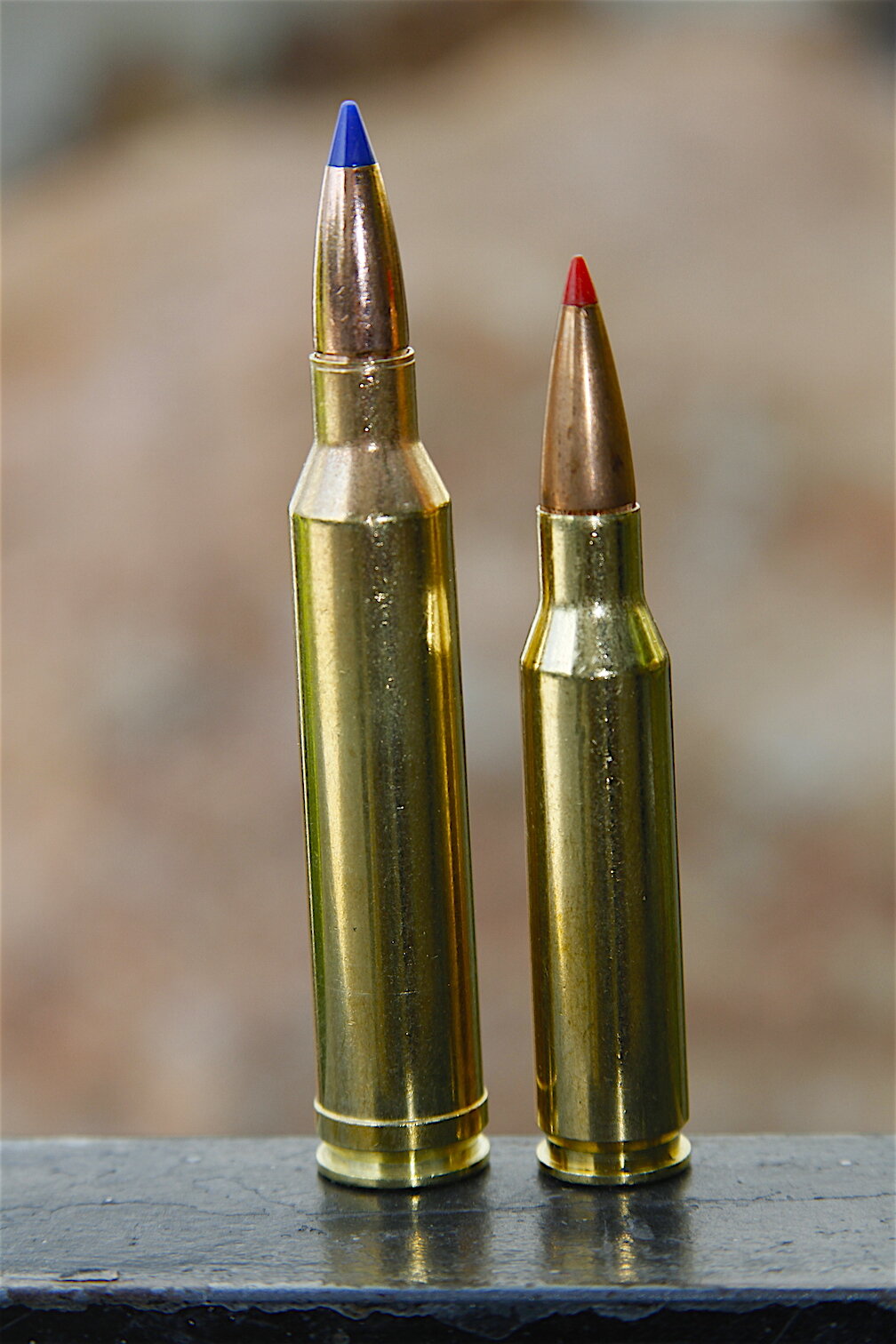 Photo shows a 7mm Remington Magnum cartridge beside a 7mm-08 Remington cart...
