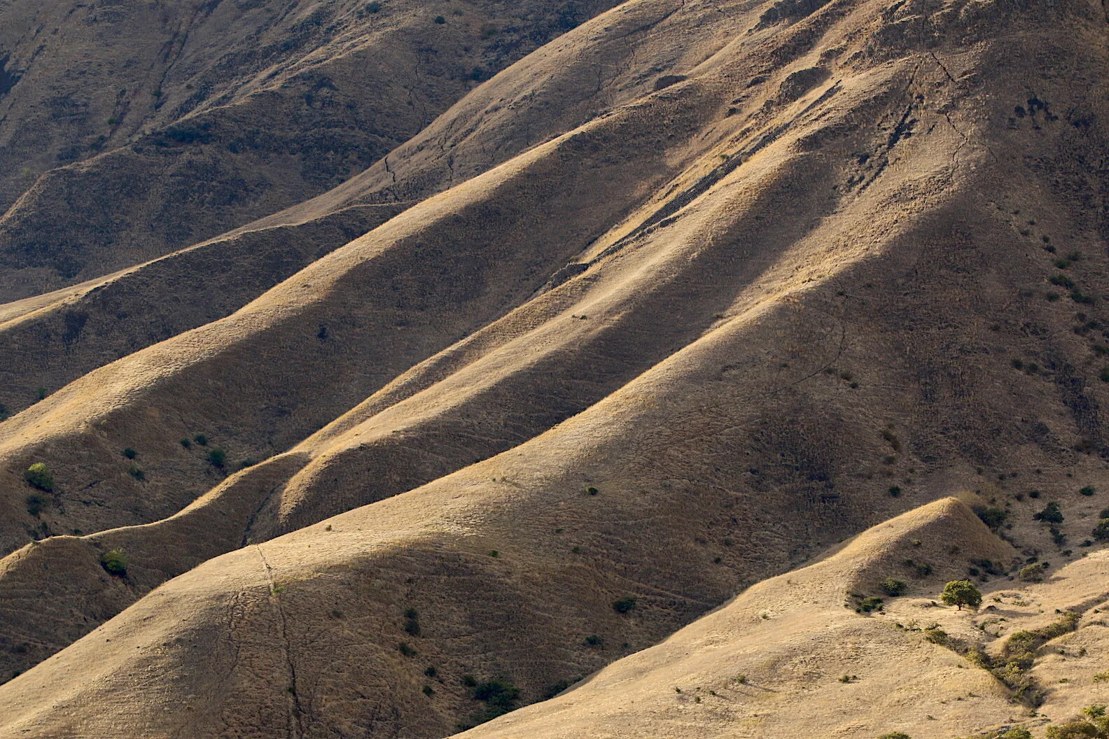 Episode 11 - Hell's Canyon Mule Deer