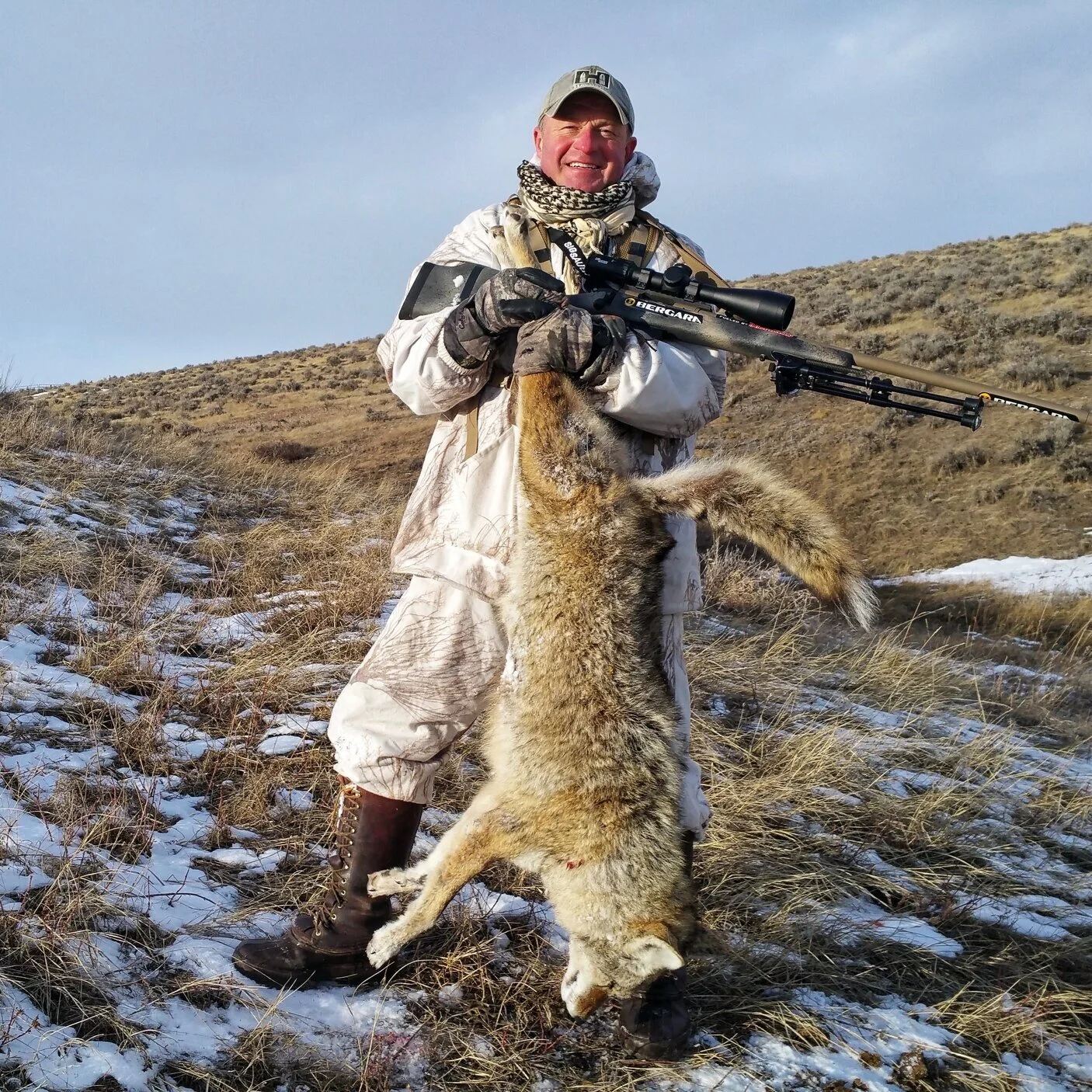 Coyote Calling Cadence Works Year 'Round