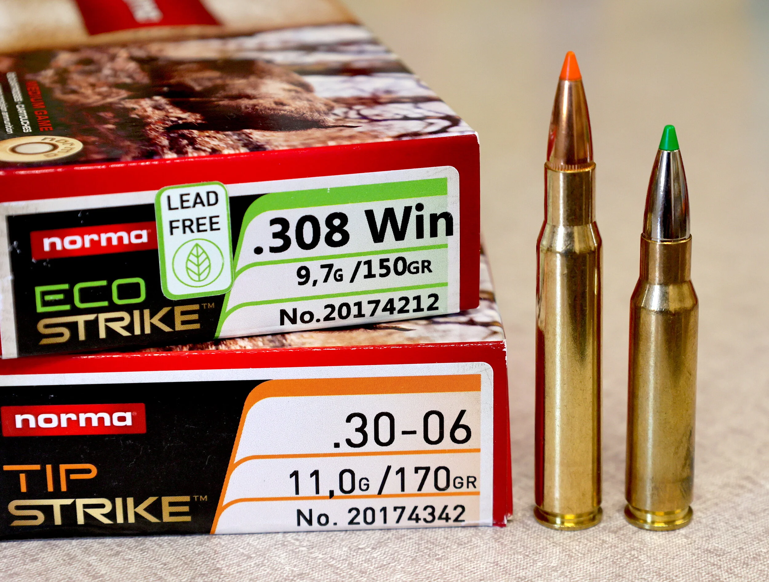 Get to the Point: Bullet Tips Vary Widely, So Choose Wisely - Game