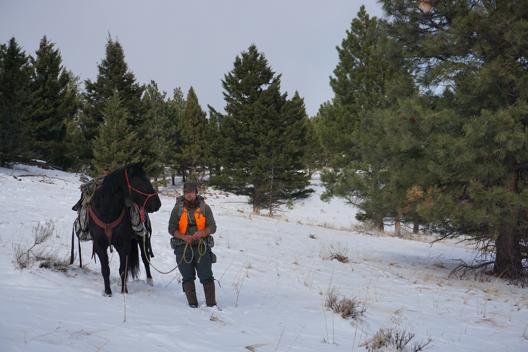 Do or Die: Late-Season Elk Adventure